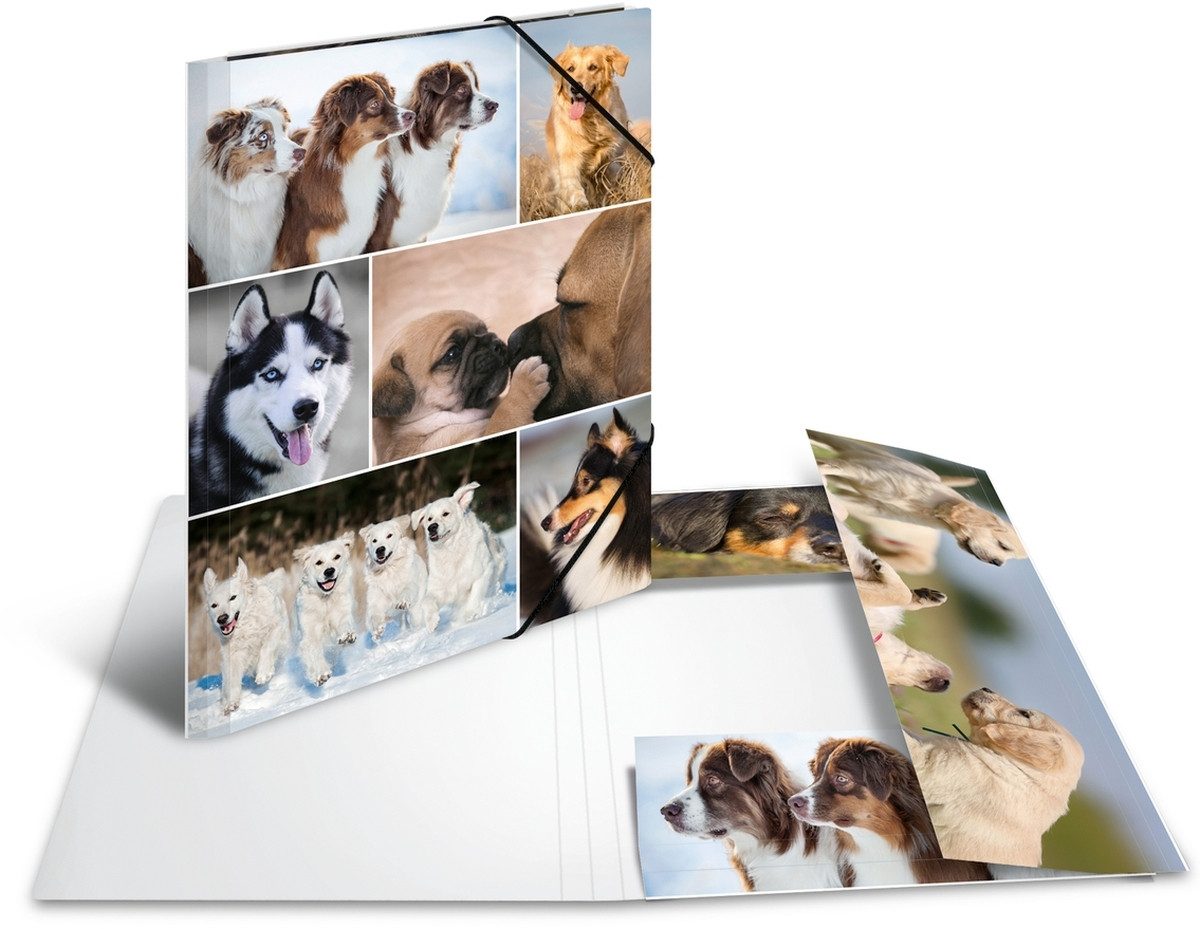 HERMA Fächermappe Sammelmappe A4 Pappe Hunde