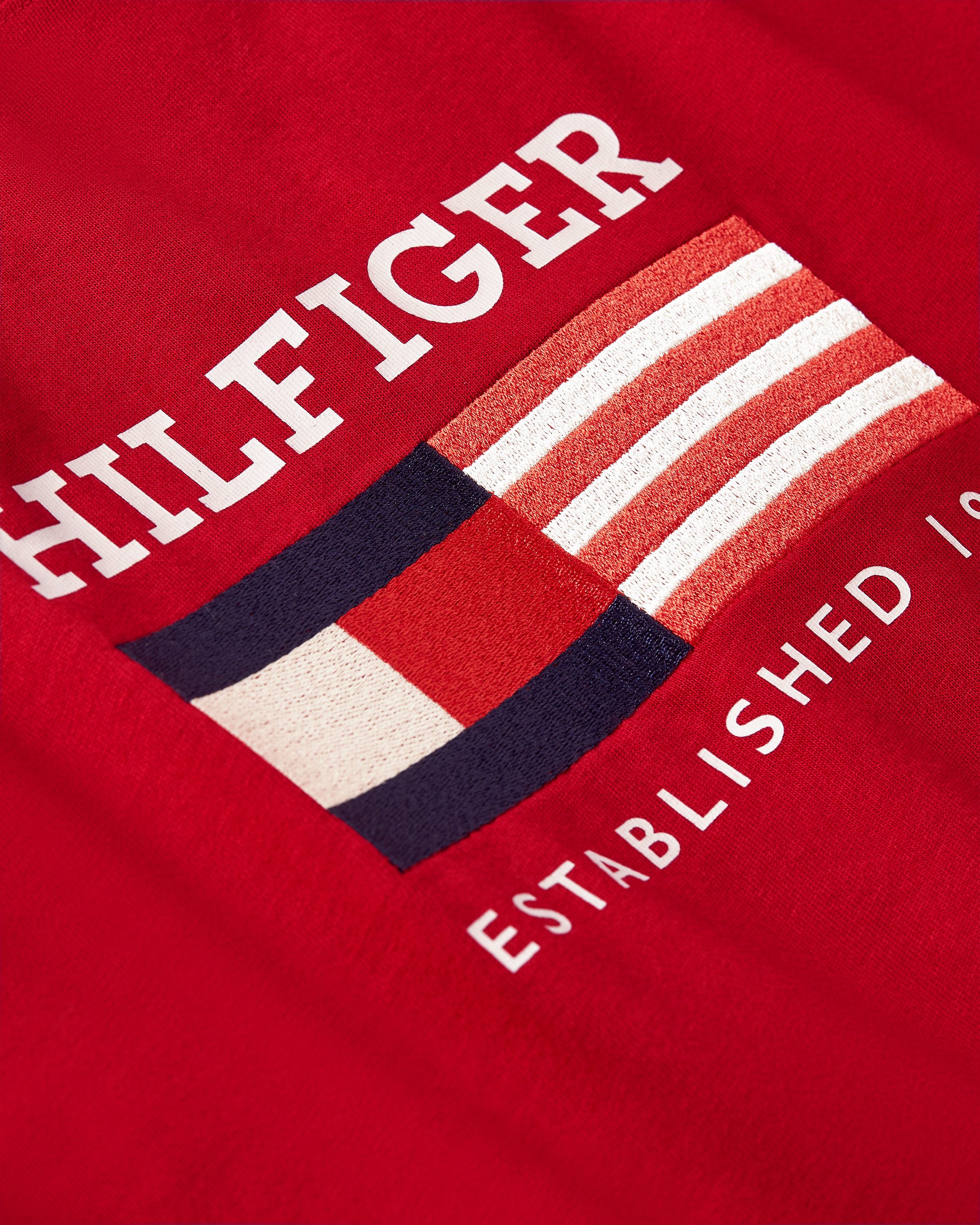 Tommy Hilfiger T-Shirt AMERICANA MONOTYPE FLAG BOX TEE Mit markanter Stickerei