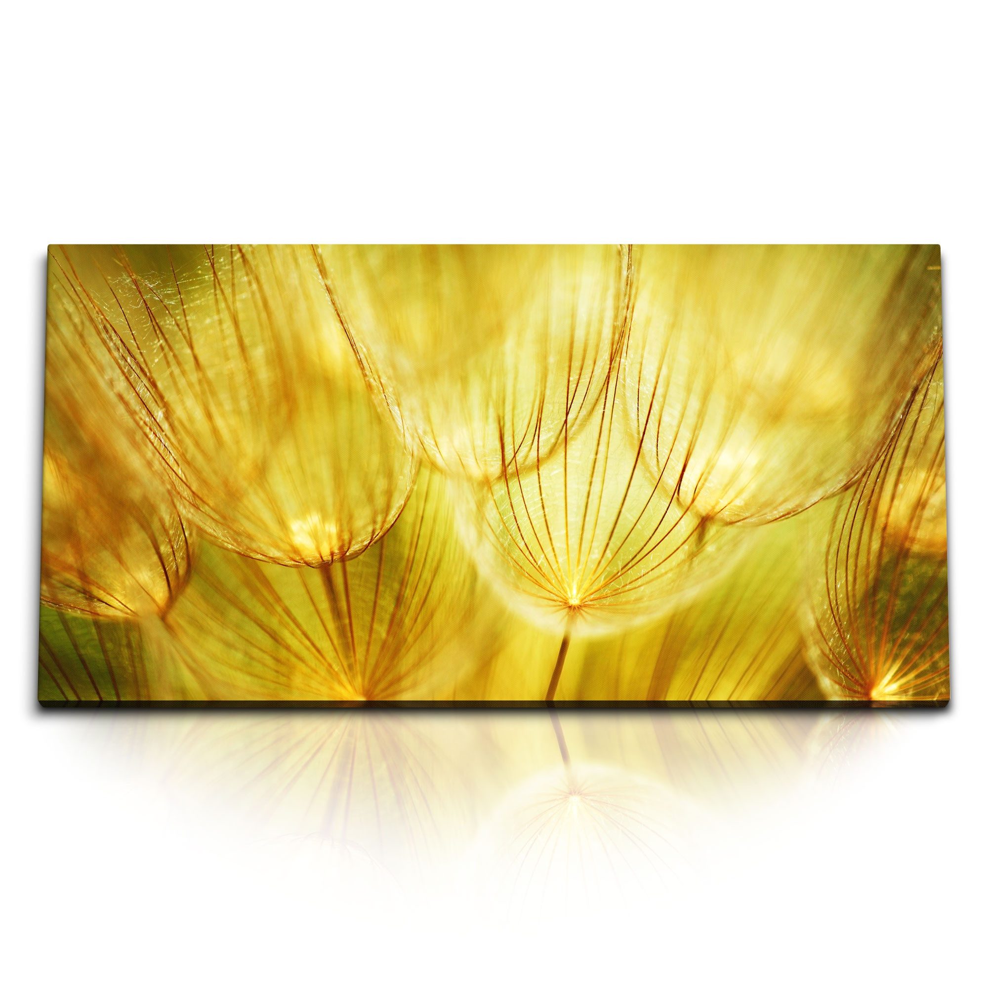 Leinwandbild Kunstdruck Bilder 120x60cm Nahaufnahme Pusteblume Gelb Dekorativ Kunst