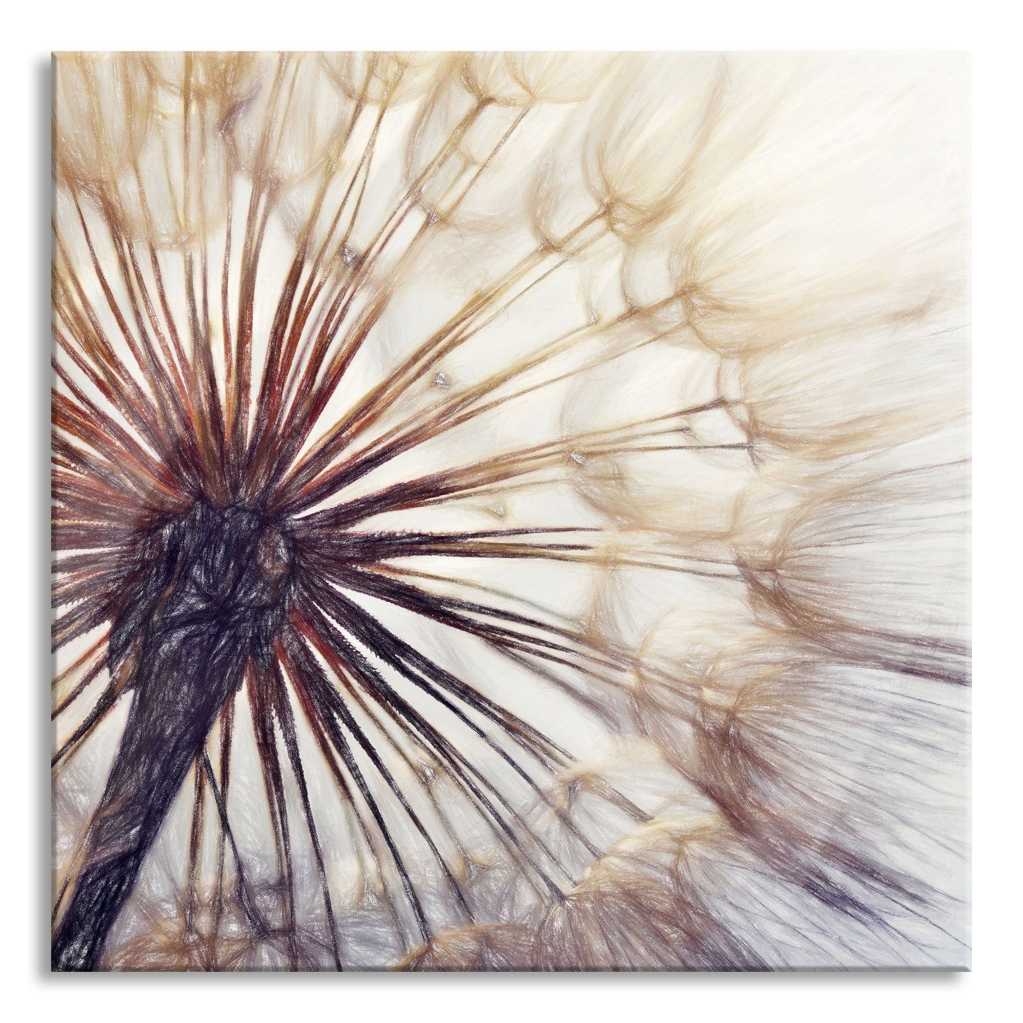 Pixxprint Glasbild Schöne Pusteblume, Schöne Pusteblume (1 St), Glasbild aus Echtglas, inkl. Aufhängungen und Abstandshalter