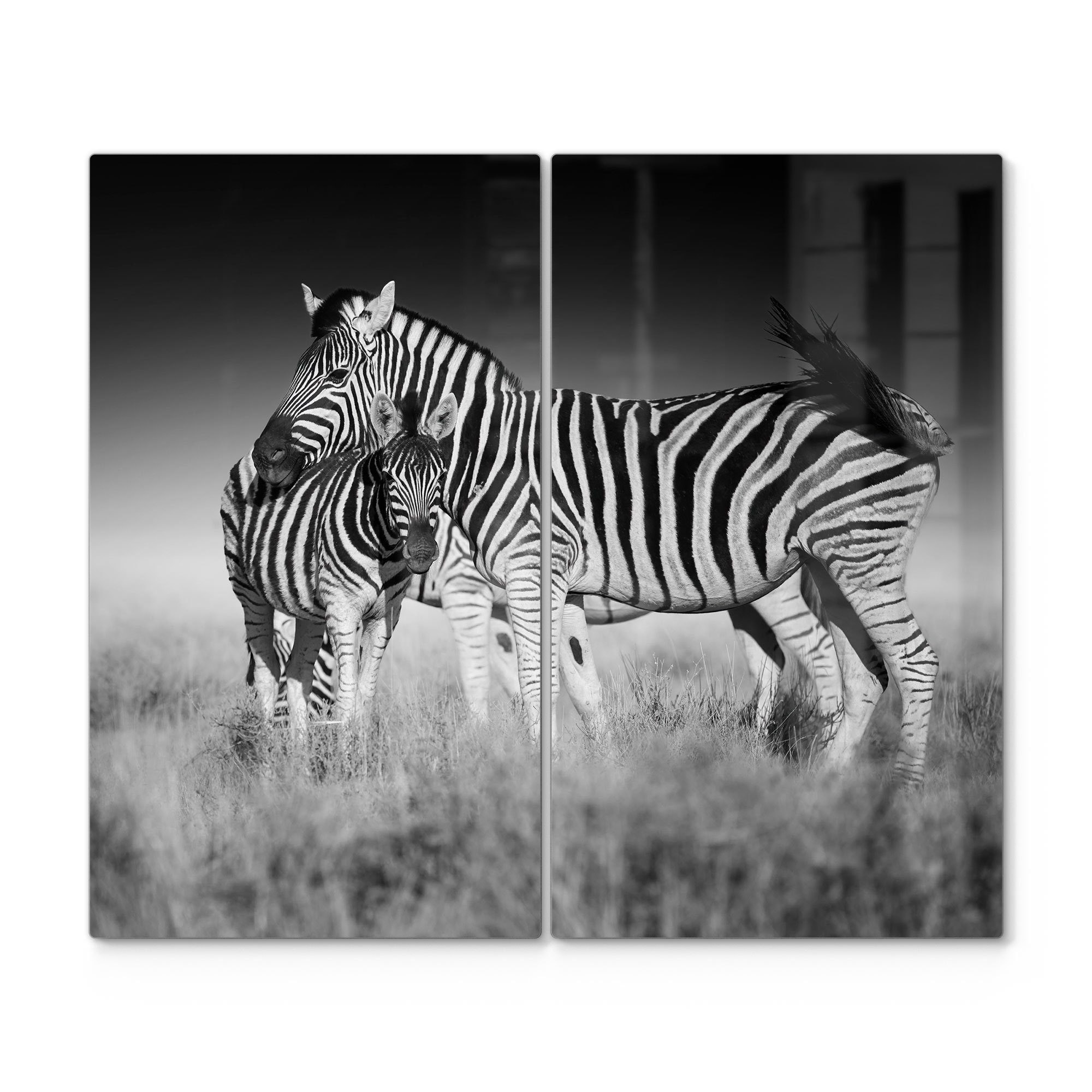 DEQORI Herdblende-/Abdeckplatte 'Zebras beieinanderstehend', (2 Ceranfeld tlg), Glas Herd Herdabdeckplatte Glas