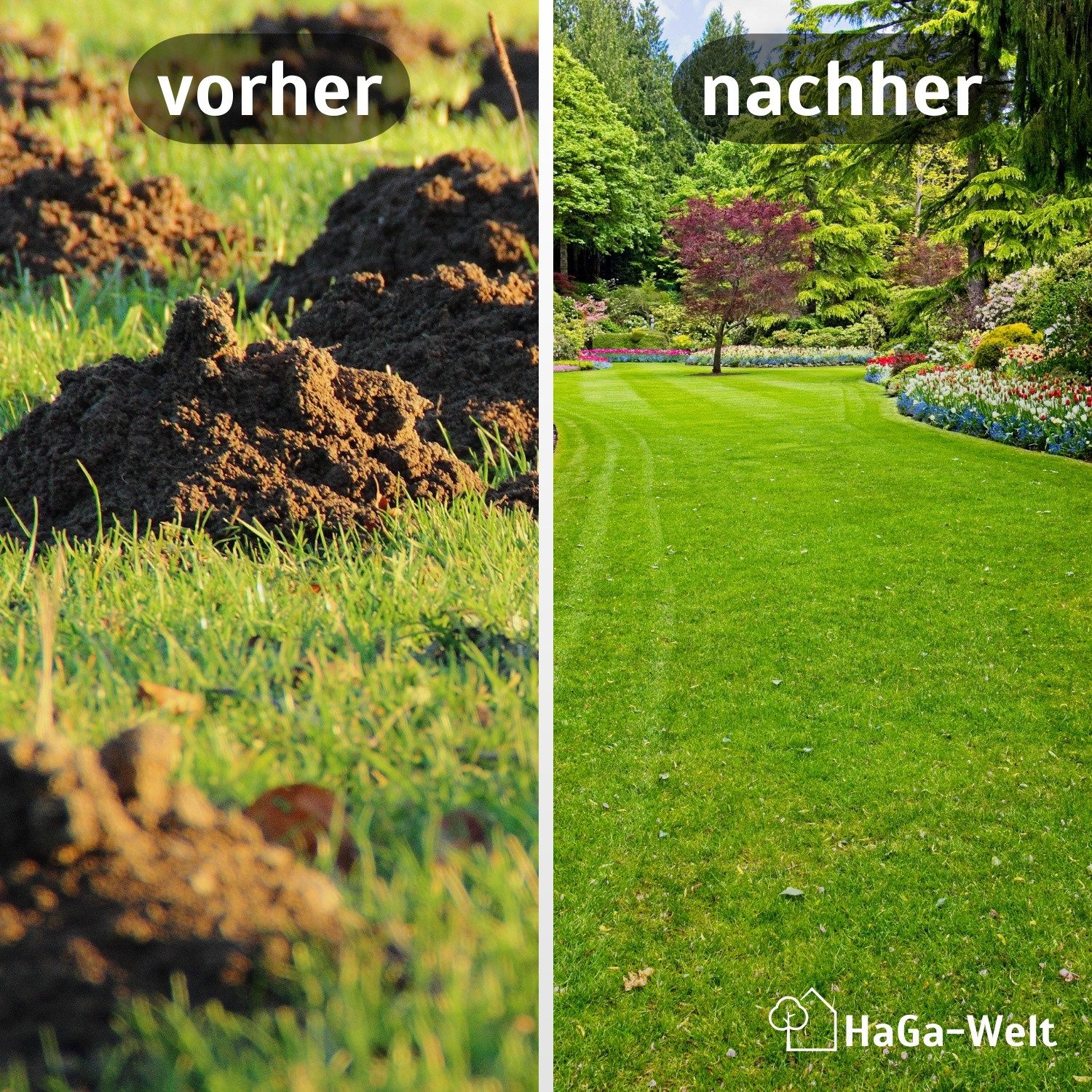 HaGa Maulwurfgitter HaGa Premium Maulwurfsperre 1,5 m Br. Meterware tierfreundliche, Maulwurfschutzgitter, UV-beständig, Maulwurfbekämpfung, Rasenschutz – Bild 3 von 5