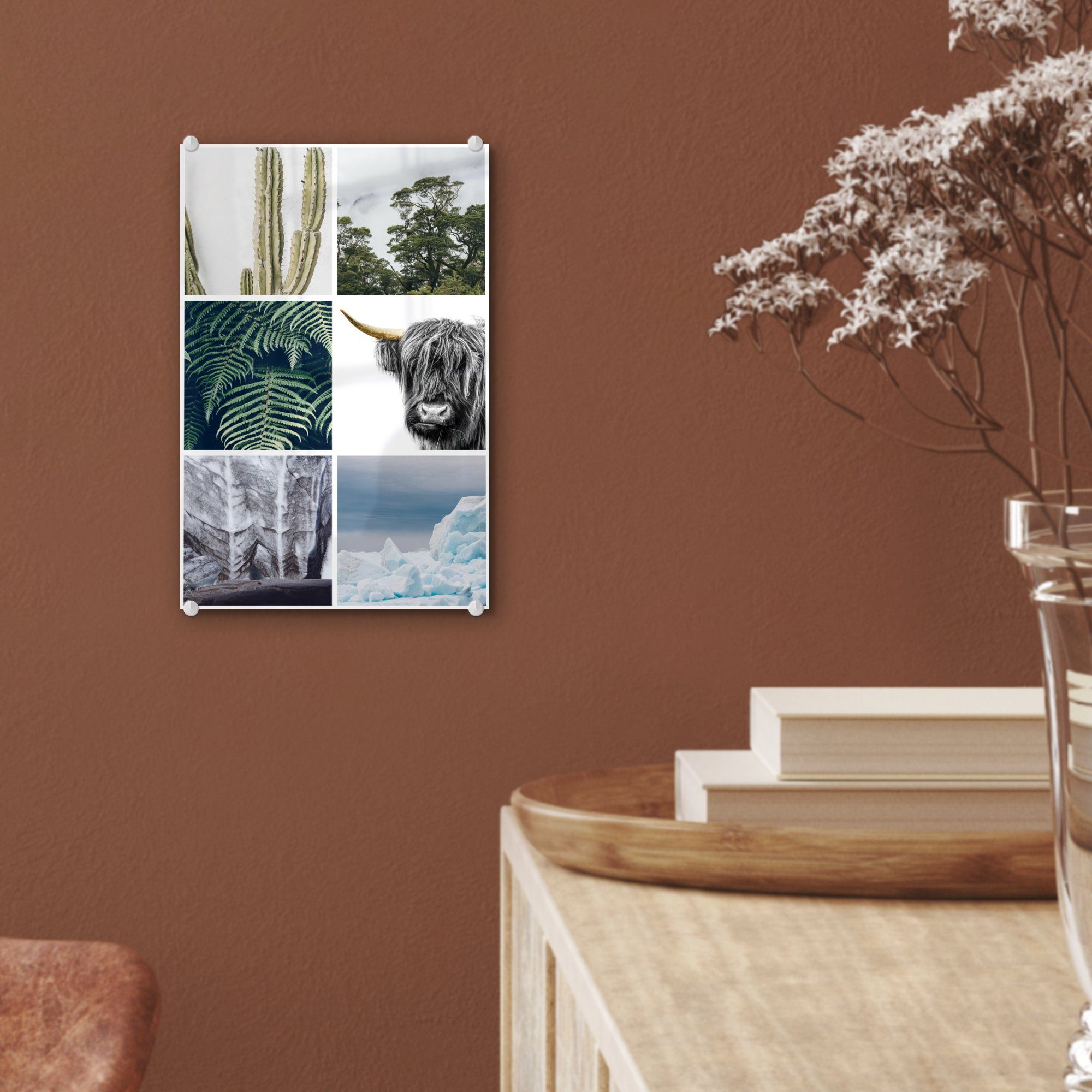 - - Kaktus Glas Collage (1 Schottischer Glas - auf Foto Wanddekoration Bilder - Glasbilder - Highlander MuchoWow auf Wandbild Acrylglasbild - Pflanzen, St),