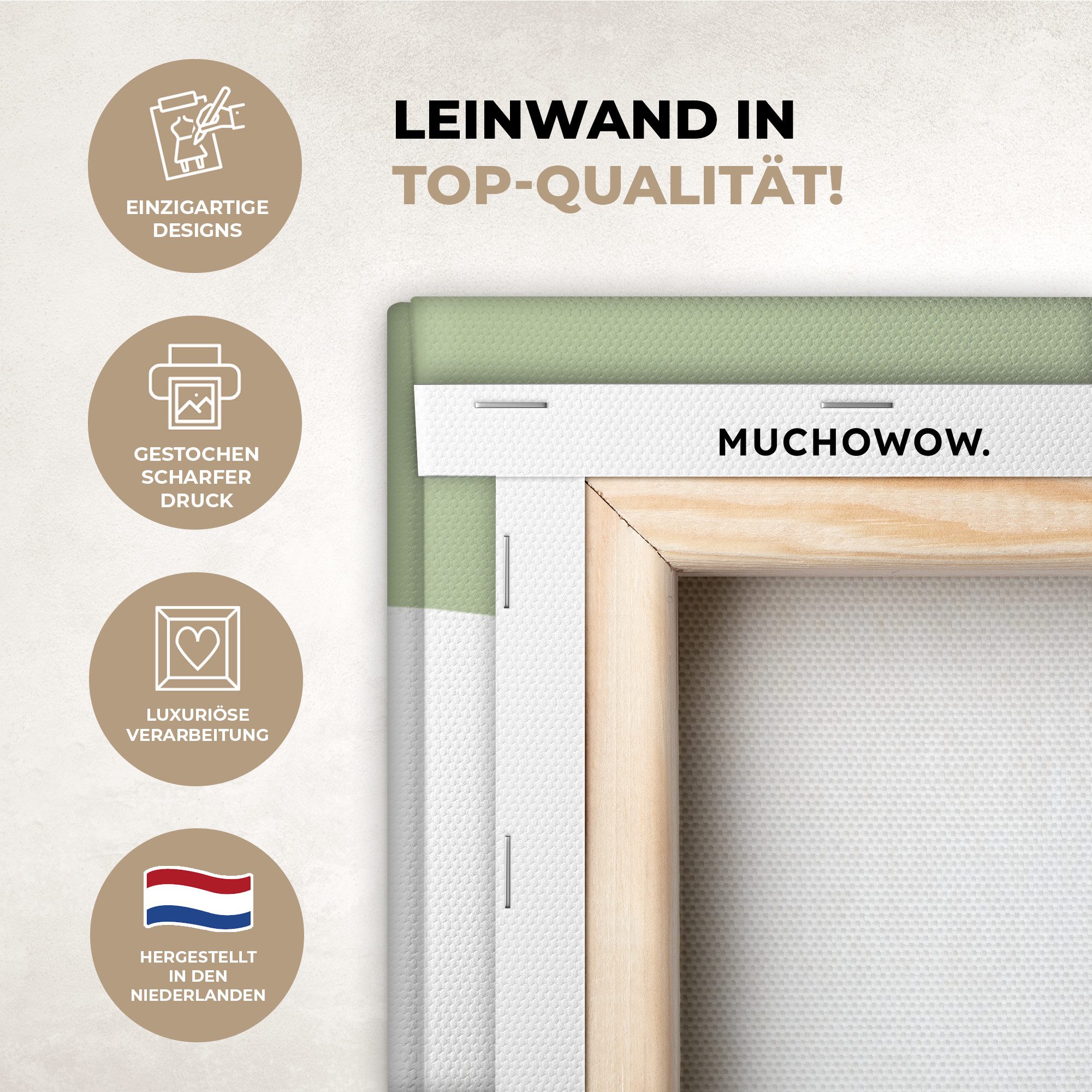 OneMillionCanvasses® Leinwandbild Dino - Triceratops - Dinosaurier - Grün, günstig online kaufen