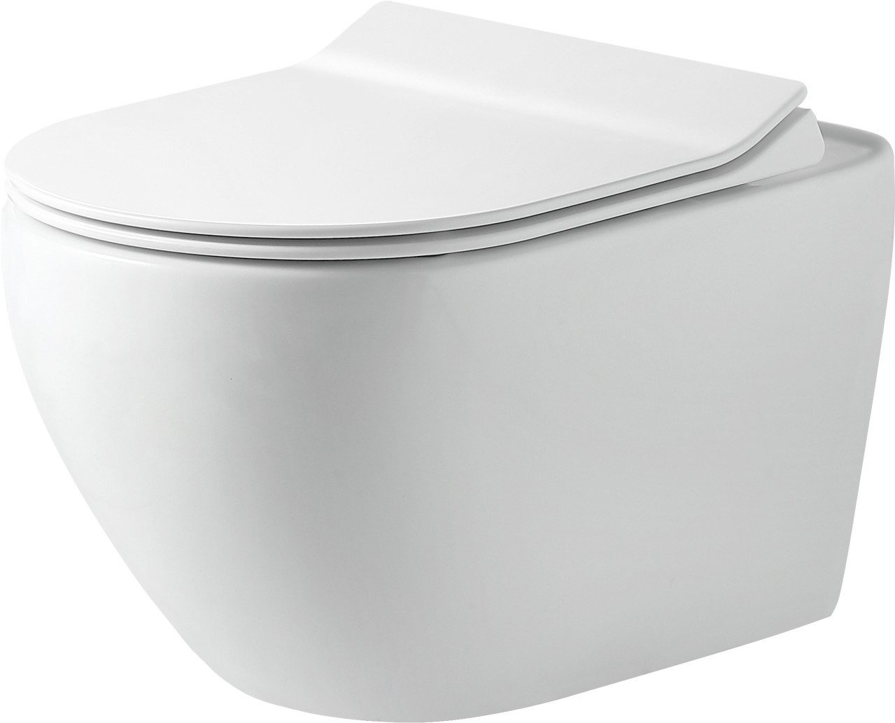 Primaster Wand-WC-Befestigung Primaster Wand WC spülrandlos Salvando Tiefspüler