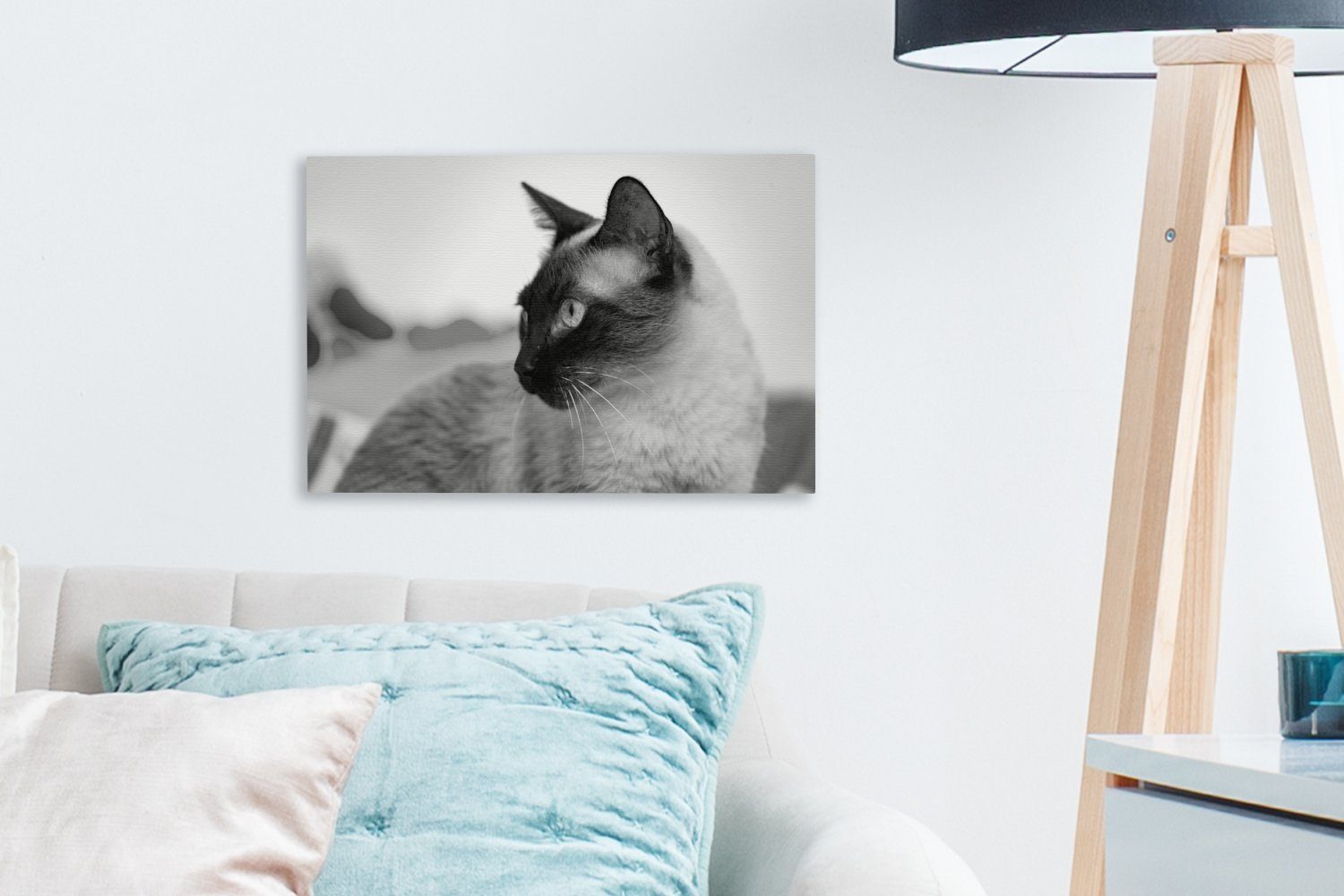 cm Leinwandbilder, Aufhängefertig, Wanddeko, weiß, OneMillionCanvasses® Leinwandbild Siamkatze (1 St), 30x20 schwarz - und Wandbild