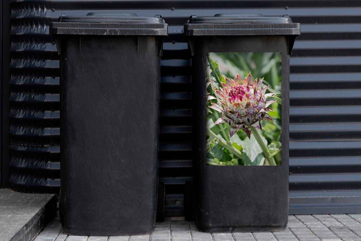 MuchoWow St), Pflanzen Eine (1 Wandsticker Mülleimer-aufkleber, der Abfalbehälter inmitten zwischen Container, Kardone Natur Sticker, Mülltonne,