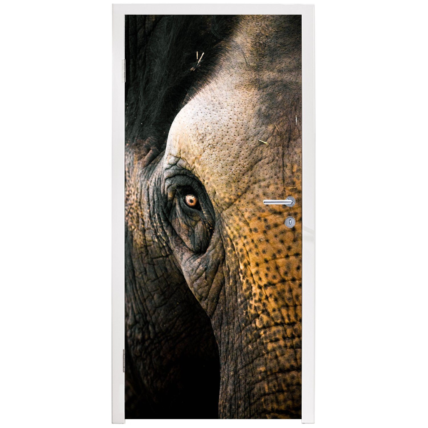 - - Türaufkleber, Fototapete St), Tür, Nahaufnahme MuchoWow - Tiere Elefant 75x205 Matt, bedruckt, für (1 Türtapete Natur, cm