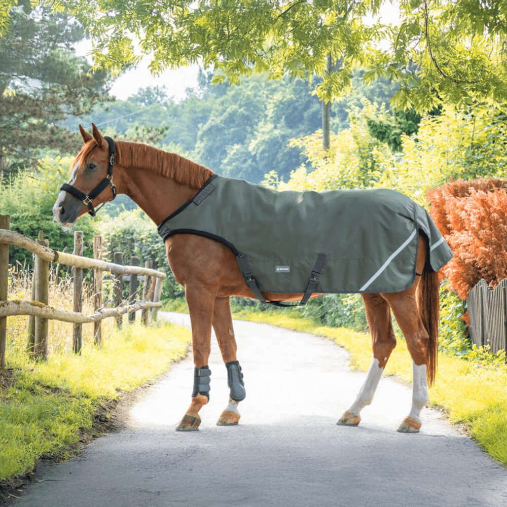 BUSSE Führmaschinendecke Busse Bewegungsdecke Rain HL 50g