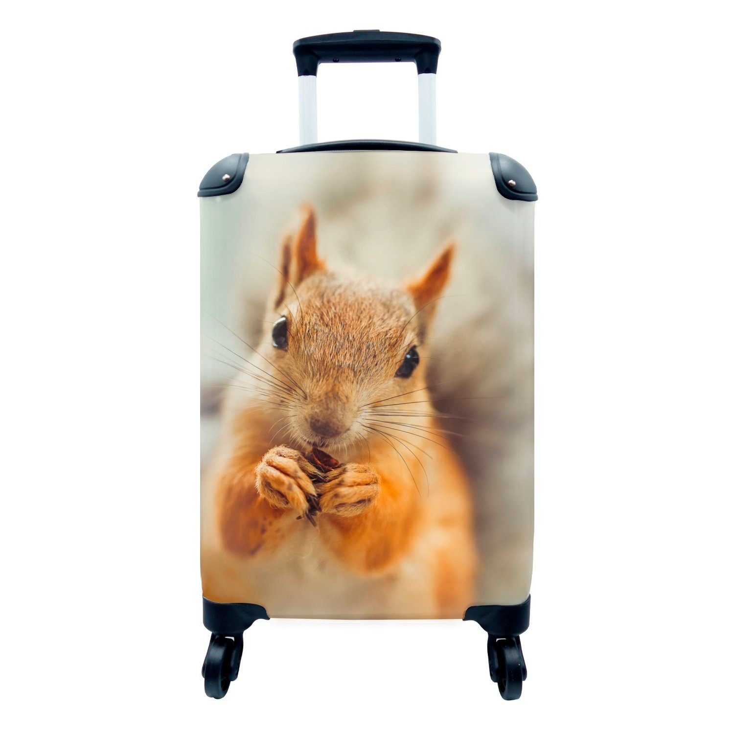 MuchoWow Handgepäckkoffer Eichhörnchen - Wilde Tiere - Porträt, 4 Rollen, Reisetasche mit rollen, Handgepäck für Ferien, Trolley, Reisekoffer