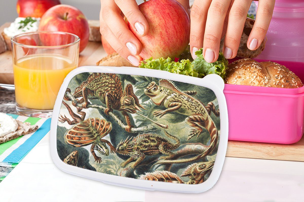 MuchoWow Lunchbox - Kunststoff - Brotbox Haeckel Erwachsene, - Mädchen, Kinder, Ernst Snackbox, Brotdose - rosa Tiere, (2-tlg), Kunststoff, für Jahrgang Kunst Salamander