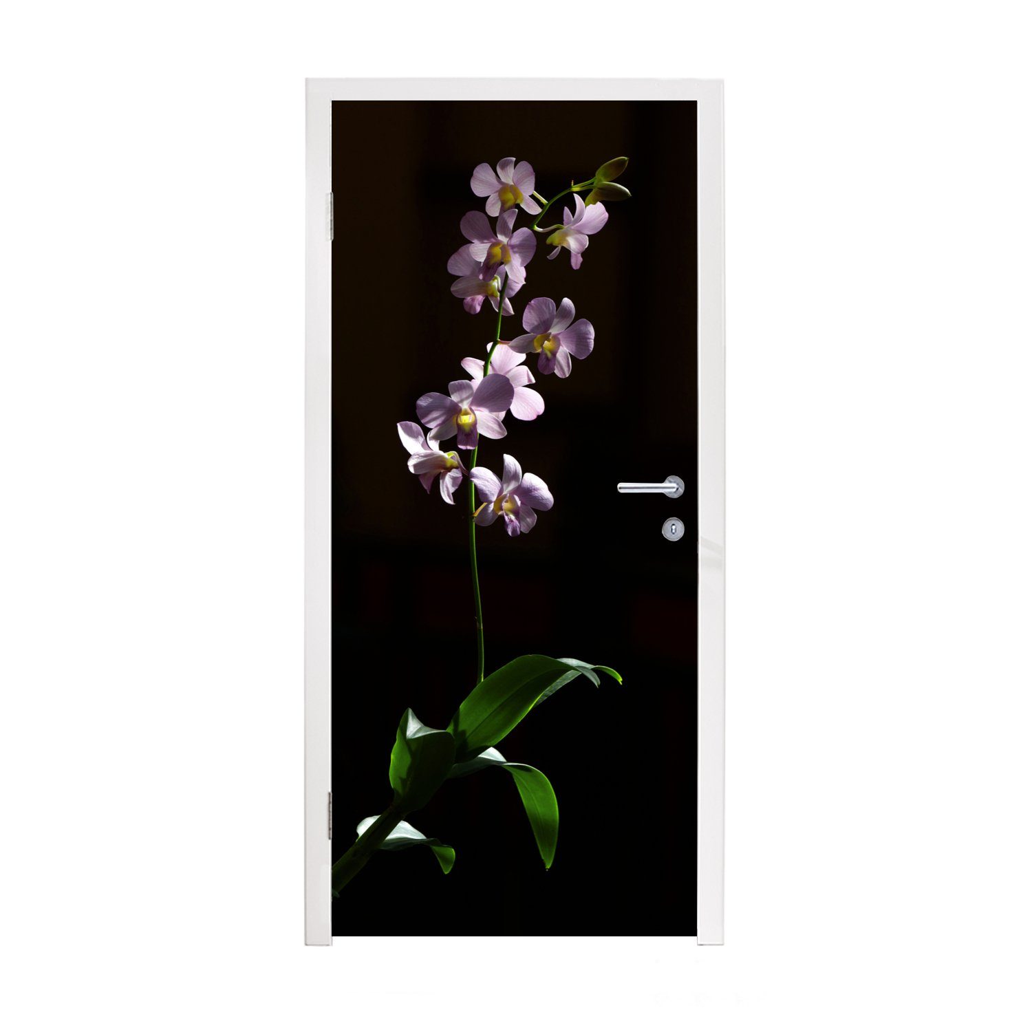 MuchoWow Türtapete Orchidee - Blume - Rosa, Matt, bedruckt, (1 St), Fototapete für Tür, Türaufkleber, 75x205 cm