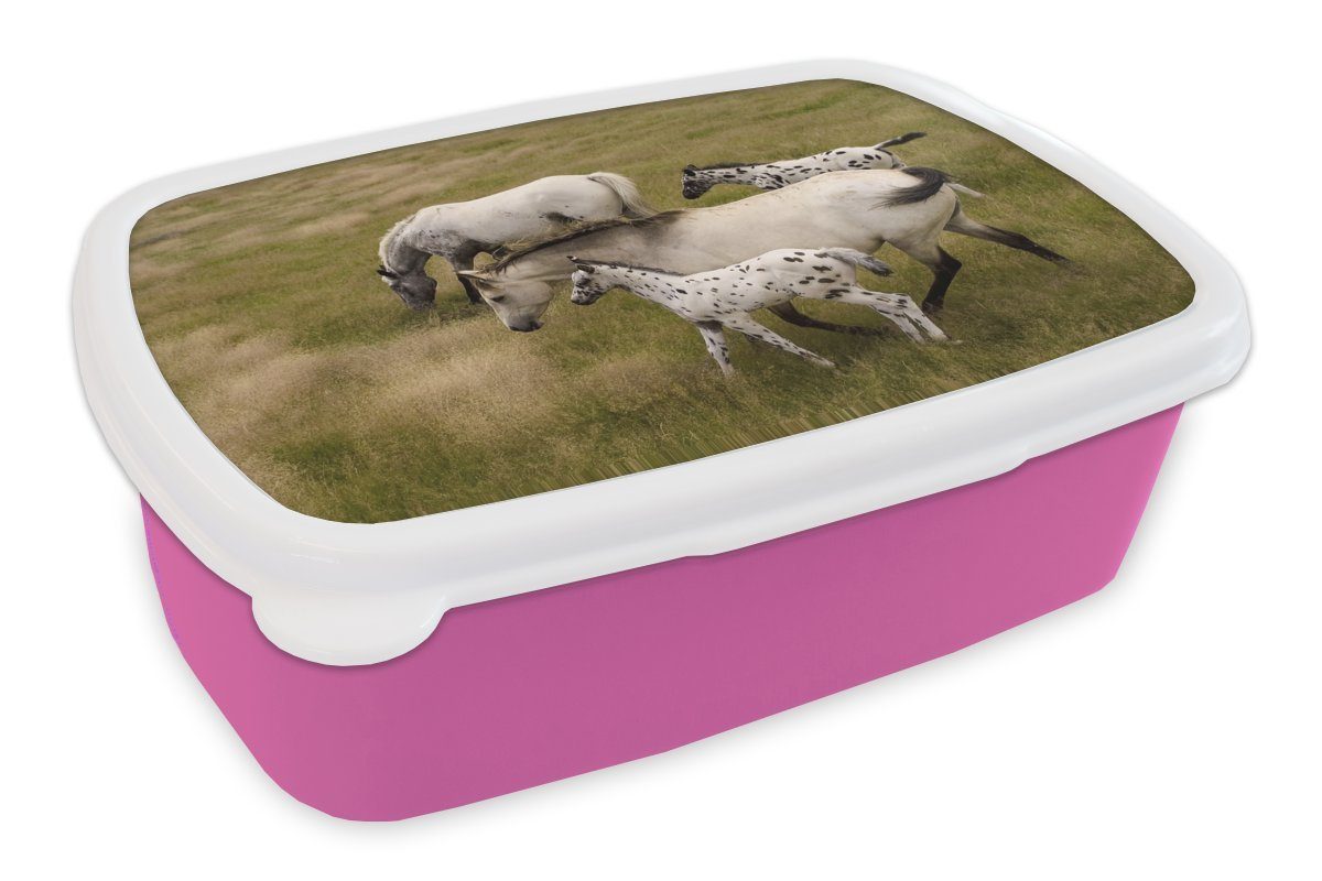 MuchoWow Lunchbox Pferde - Fohlen - Tiere, Kunststoff, (2-tlg), Brotbox für Erwachsene, Brotdose Kinder, Snackbox, Mädchen, Kunststoff rosa