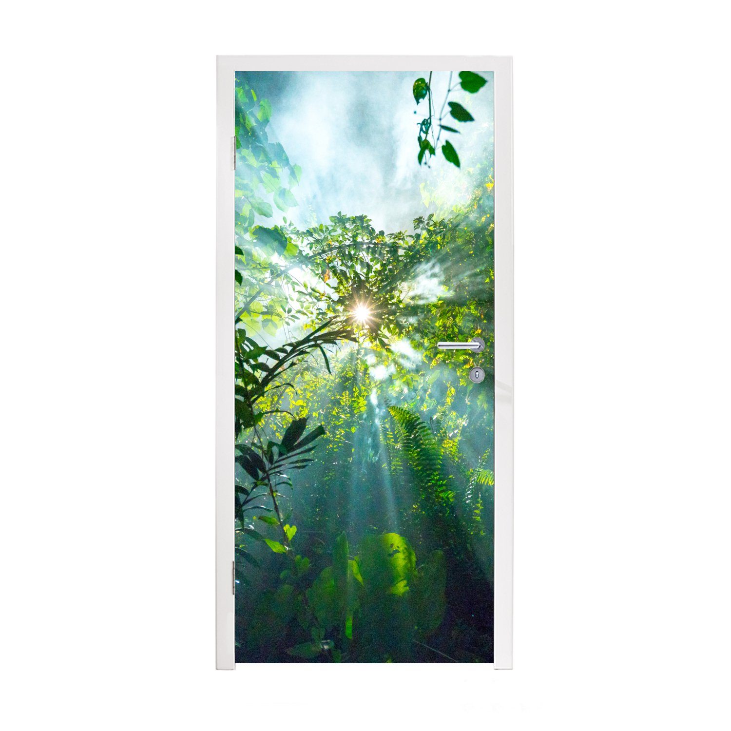MuchoWow Türtapete Die Sonne scheint durch die Wälder eines Regenwaldes in Malaysia, Matt, bedruckt, (1 St), Fototapete für Tür, Türaufkleber, 75x205 cm