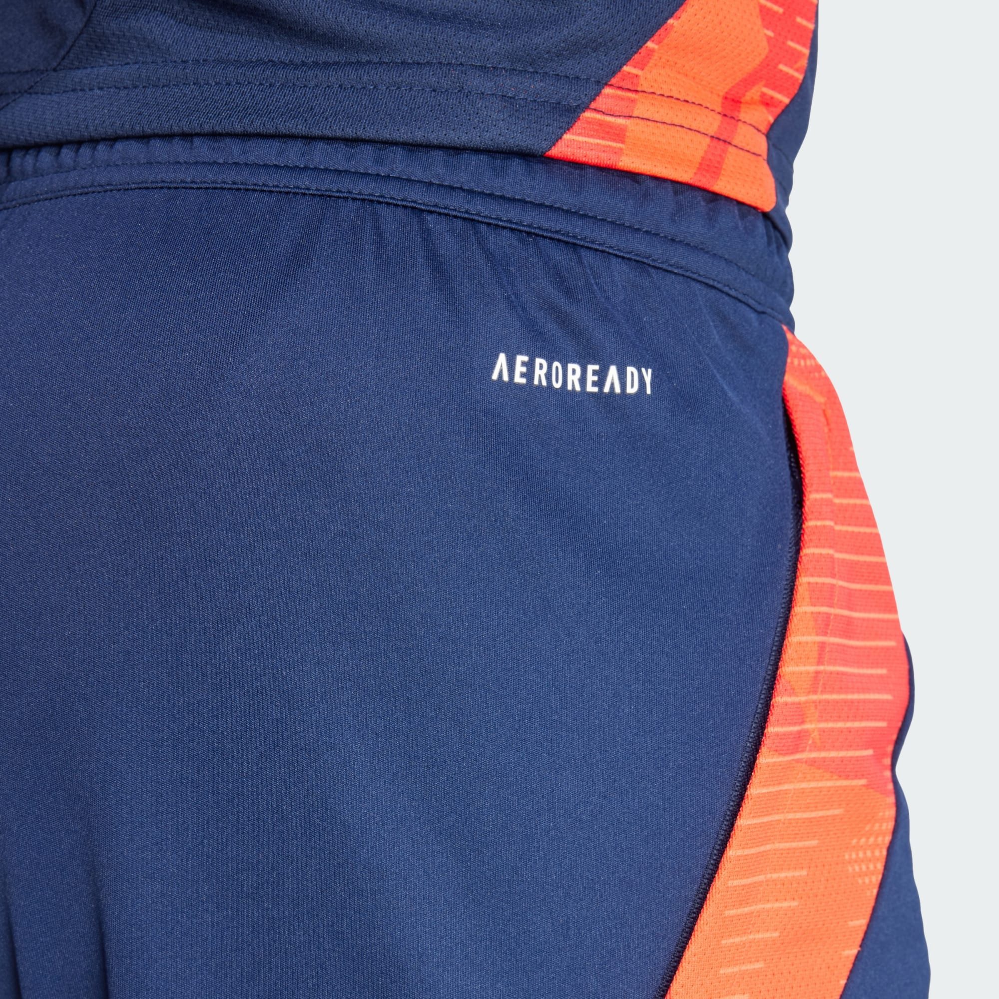 adidas Performance Sporthose MANCHESTER UNITED TIRO 24 TRAININGSSHORTS (1-tlg)