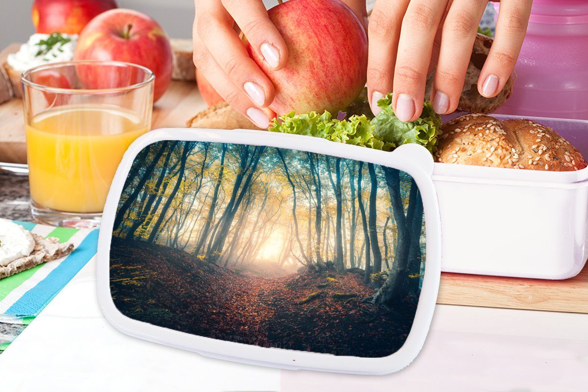 (2-tlg), weiß MuchoWow Lunchbox für Kinder und und Erwachsene, Herbst, Wald Brotbox Nebel - Sonne für Mädchen Brotdose, - Jungs - Kunststoff,