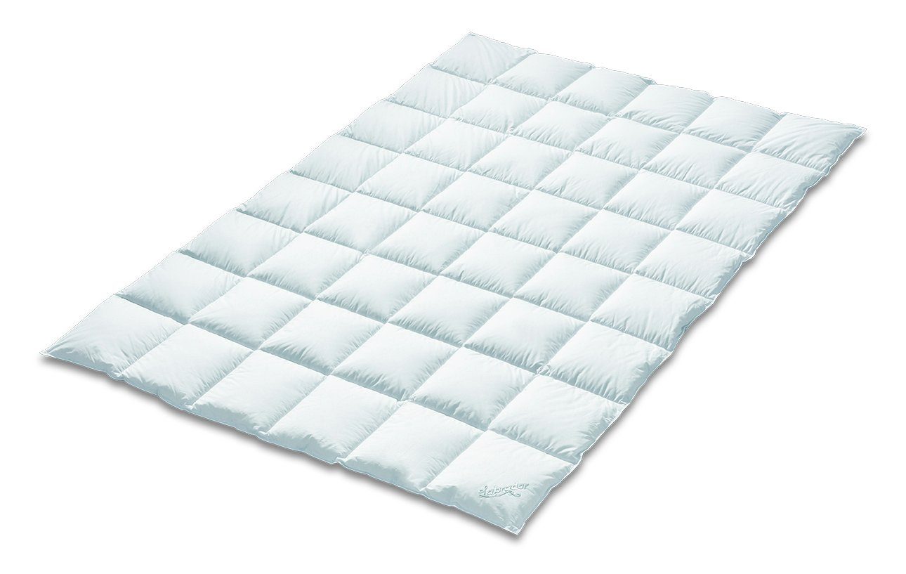 KÜNSEMÜLLER Daunenbettdecke Daunenbettdecke, „Labrador Medium“, Füllung: 10 günstig online kaufen