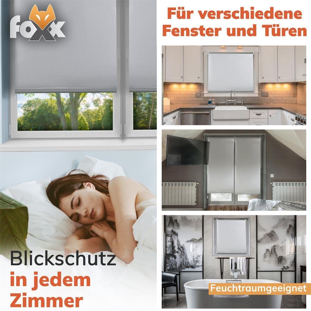 Seitenzugrollo Rollo Blackout grau 50x140, Foxx günstig online kaufen