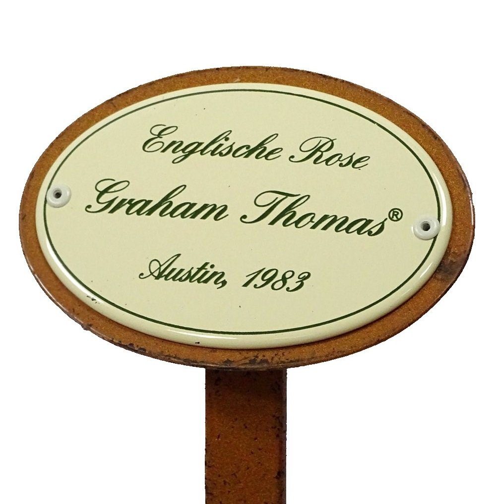 Graham Thomas 1983 Rosenschild Gartenstecker Rosenstecker, Linoows Englische Rose