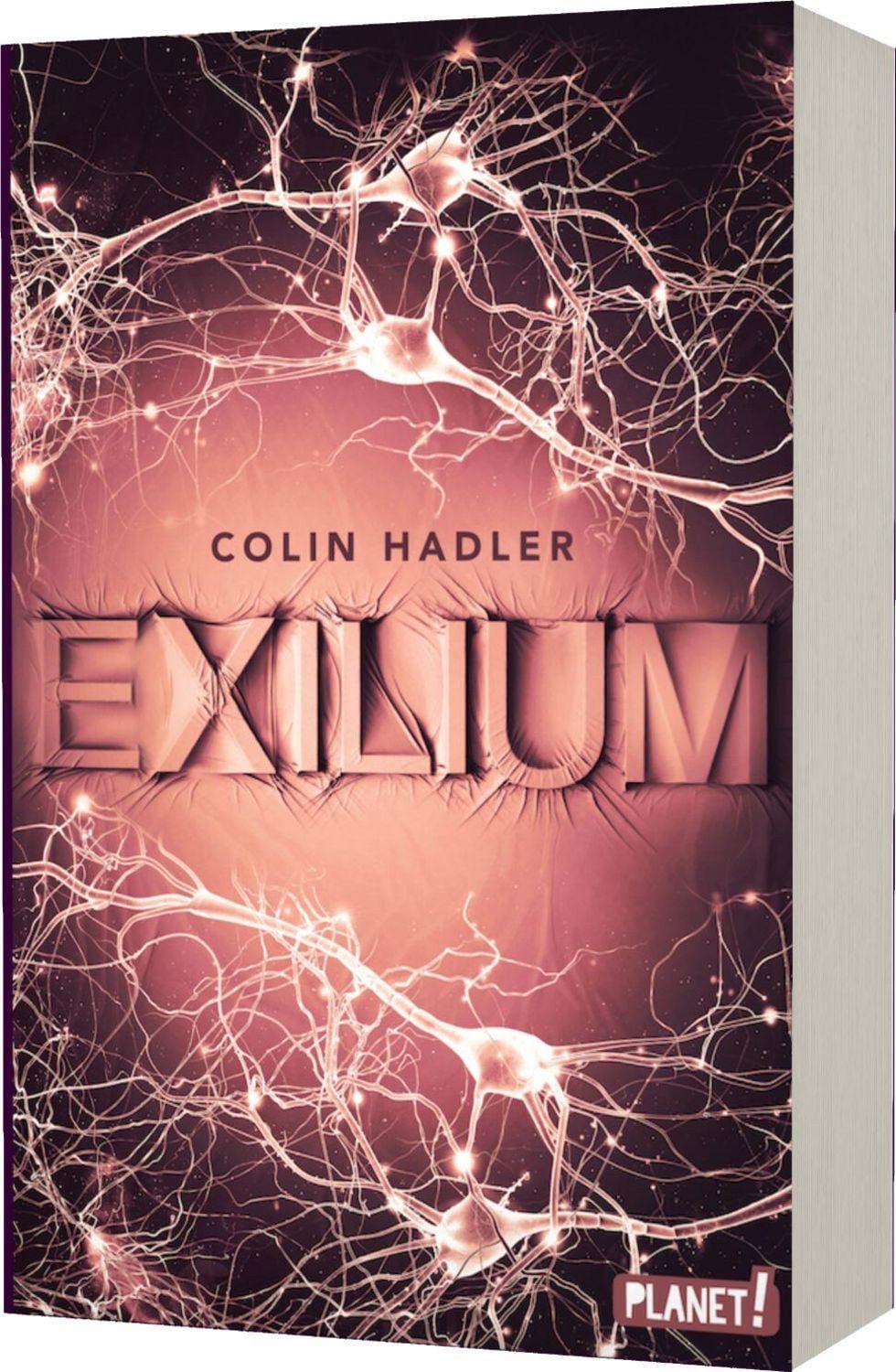 Exilium Mitreißender Cyber-Thriller über die gläserne Gesellschaft / Colin Hadler