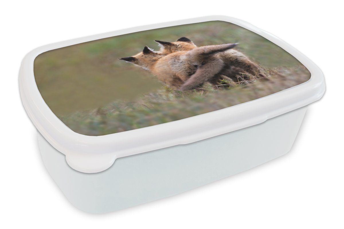 MuchoWow Lunchbox Fuchs - Gras - Tiere, Kunststoff, (2-tlg), Brotbox für Kinder und Erwachsene, Brotdose, für Jungs und Mädchen weiß