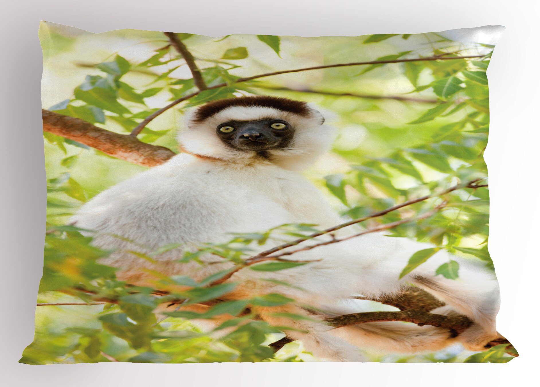 Kissenbezüge Dekorativer Standard King Size Stück), Foto Gedruckter Wilde Larvensifaka Abakuhaus (1 Kissenbezug, Lemur