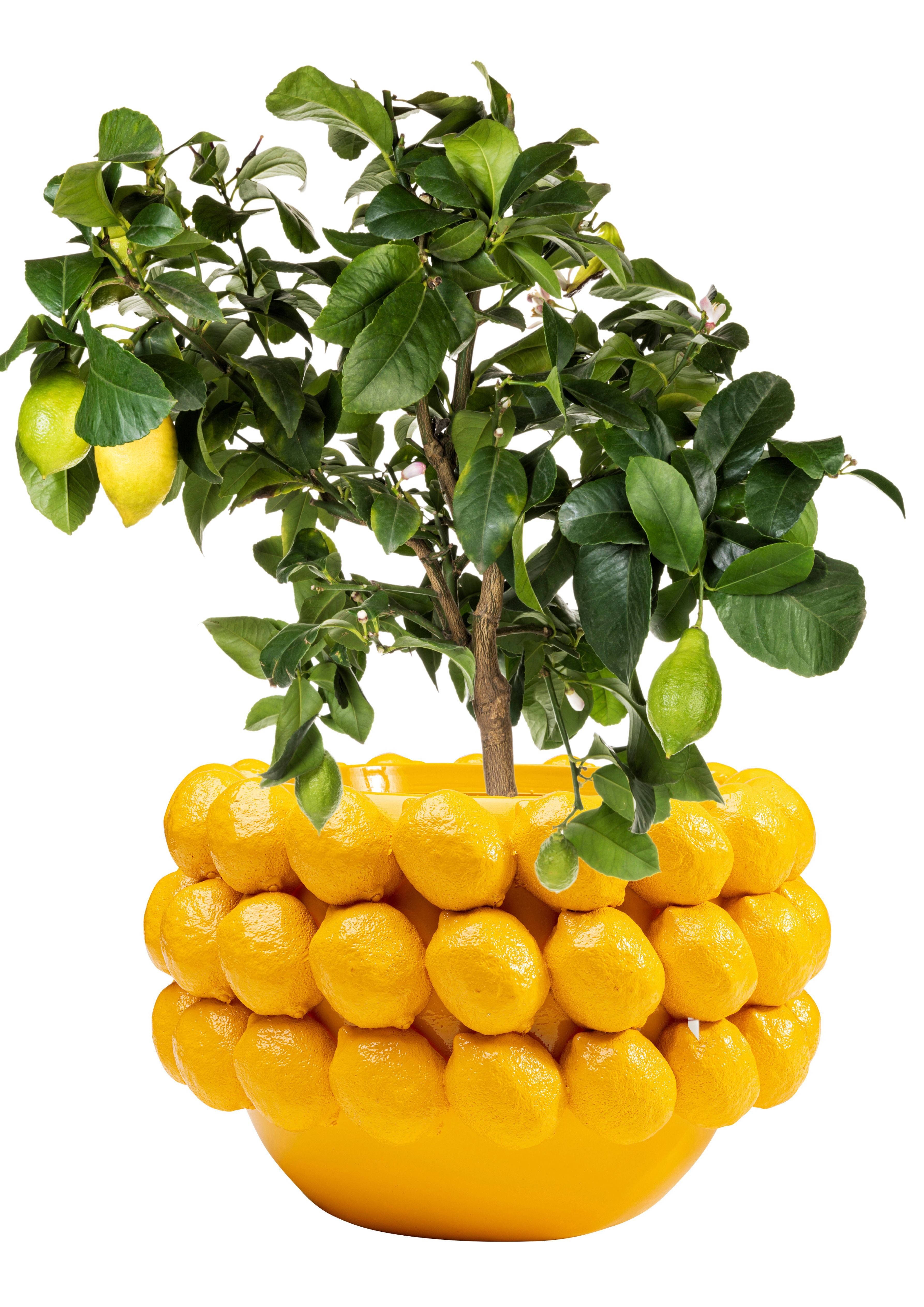 Kare Design Übertopf Deko Übertopf Lemon Juice 22cm