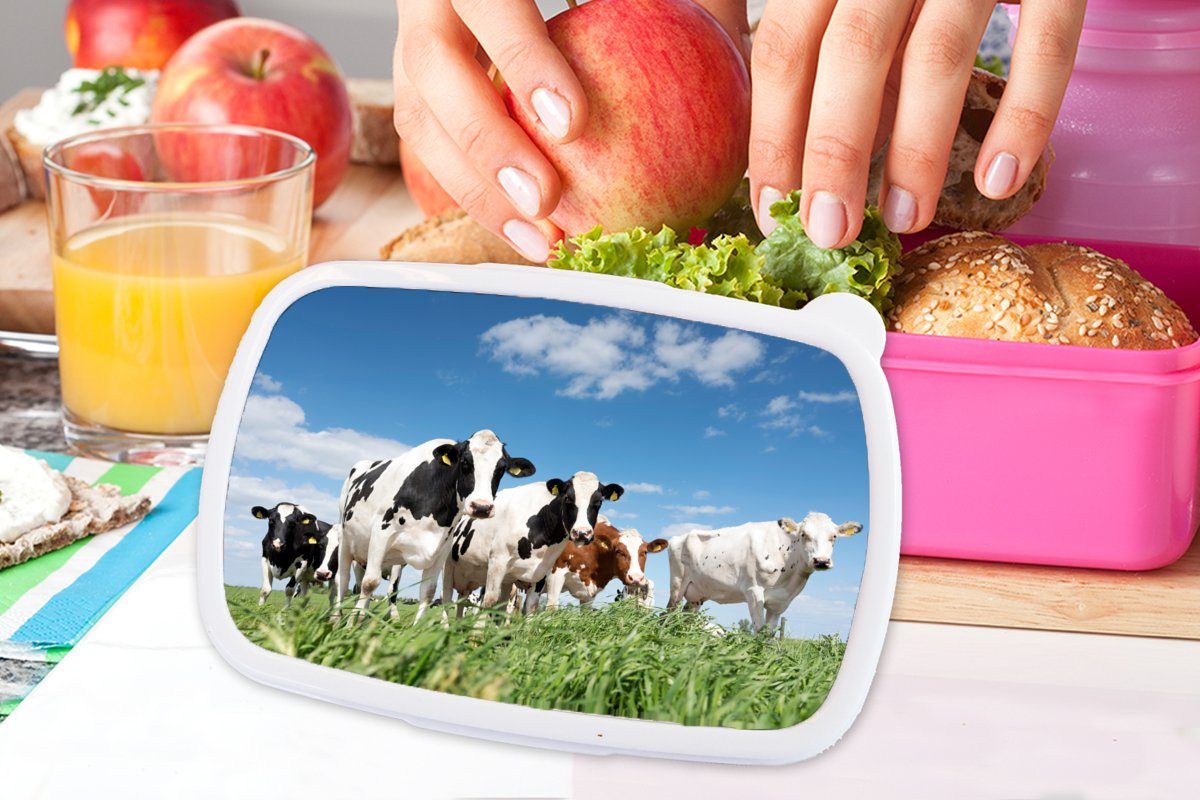 Landleben Kühe (2-tlg), Lunchbox Natur Kinder, - MuchoWow Erwachsene, Brotdose Tiere, Weide rosa Snackbox, Brotbox Kunststoff, für - - Mädchen, - Kunststoff