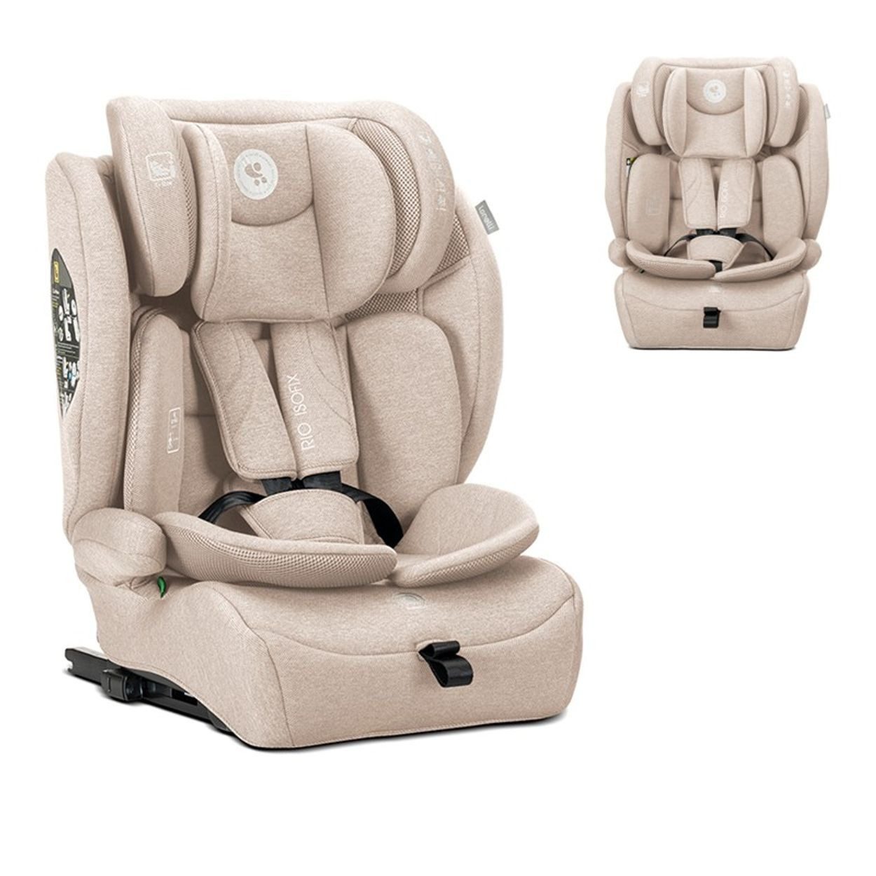 LORELLI Autokindersitz Rio Isofix (76-150cm), ab: 1.25, bis: 12, (76 - 150 cm) Isofix Top Tether Kissen verstellbar
