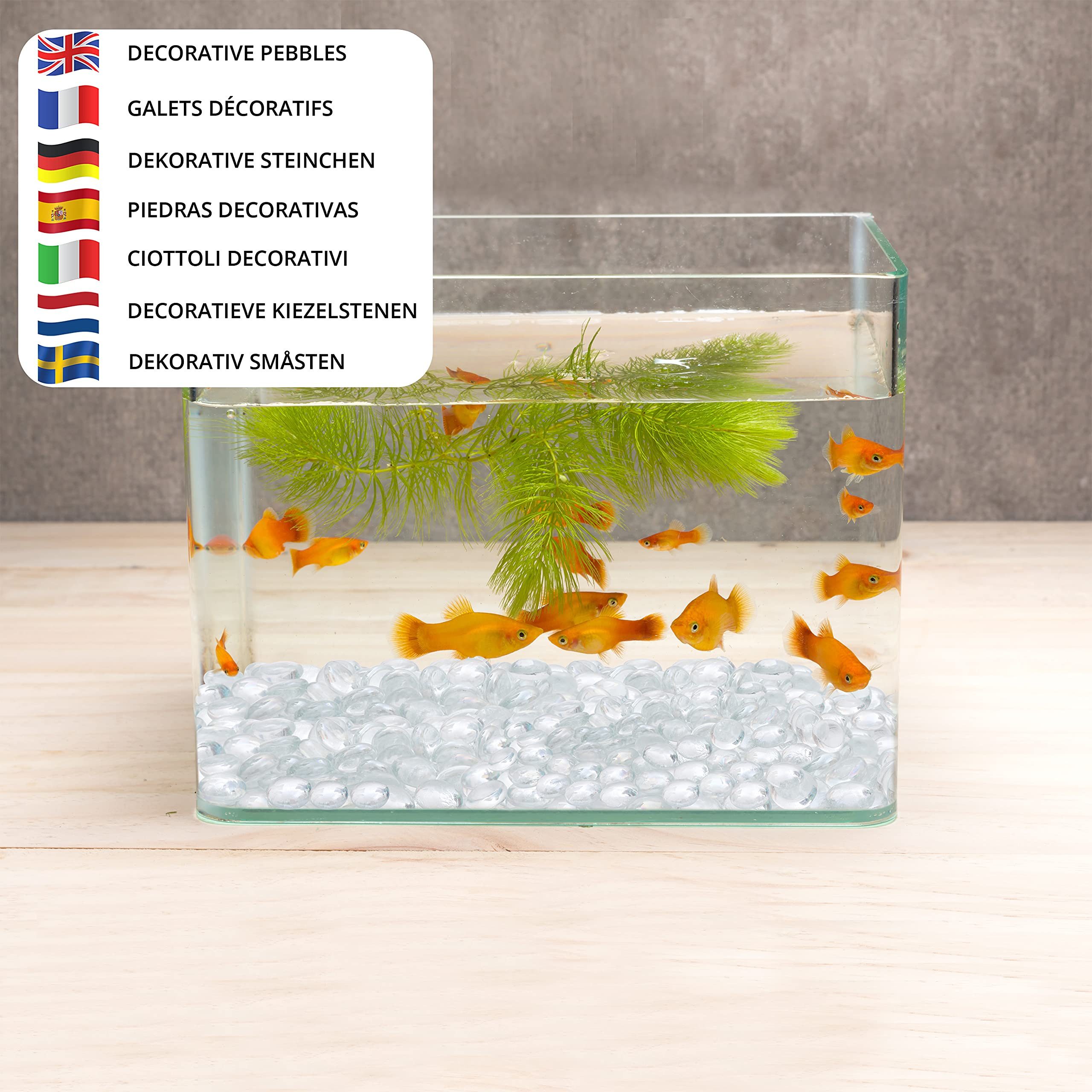 Detailansicht des Produkts 4