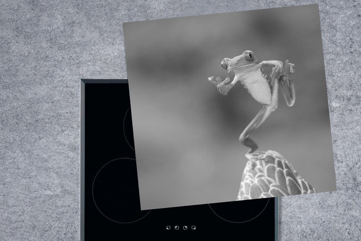 MuchoWow rotäugige Vinyl, tlg), 78x78 schwarz-weiß, küche für Herdblende-/Abdeckplatte Laubfrosch Costa Arbeitsplatte in Der (1 cm, Rica Ceranfeldabdeckung, in