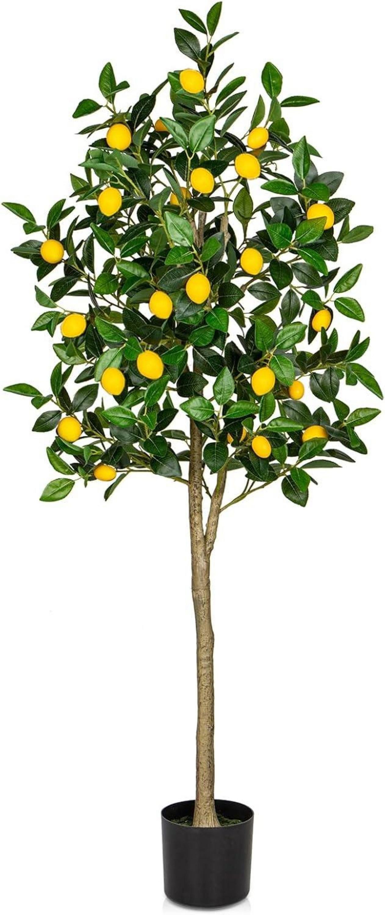 LuxusKollektion Dekohänger Kunstpflanzen Groß Zitronenbaum 150cm günstig online kaufen