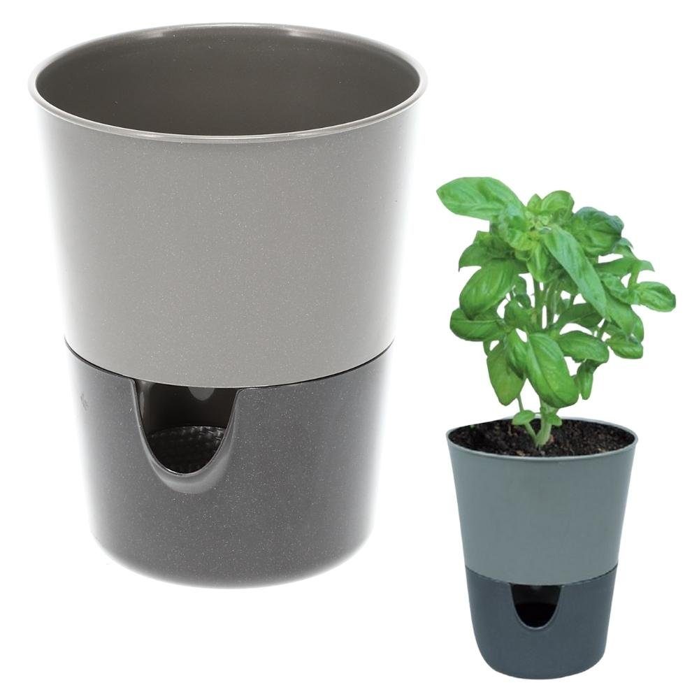 GarPet Kräutertopf Kräutertopf Küche Balkon Fensterbank günstig online kaufen