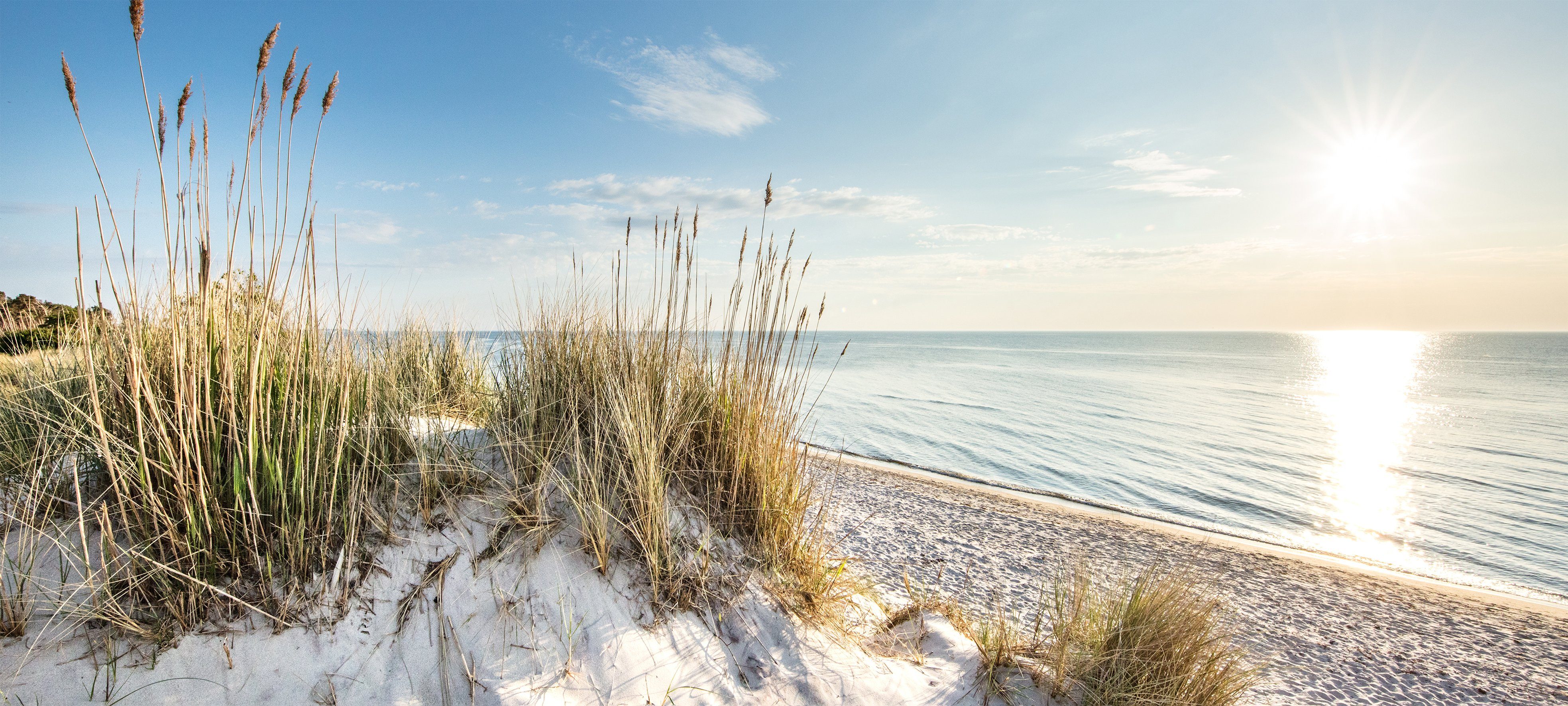 Bönninghoff Leinwandbild, Düne, Strand (1 St), BxH: 200x90 cm