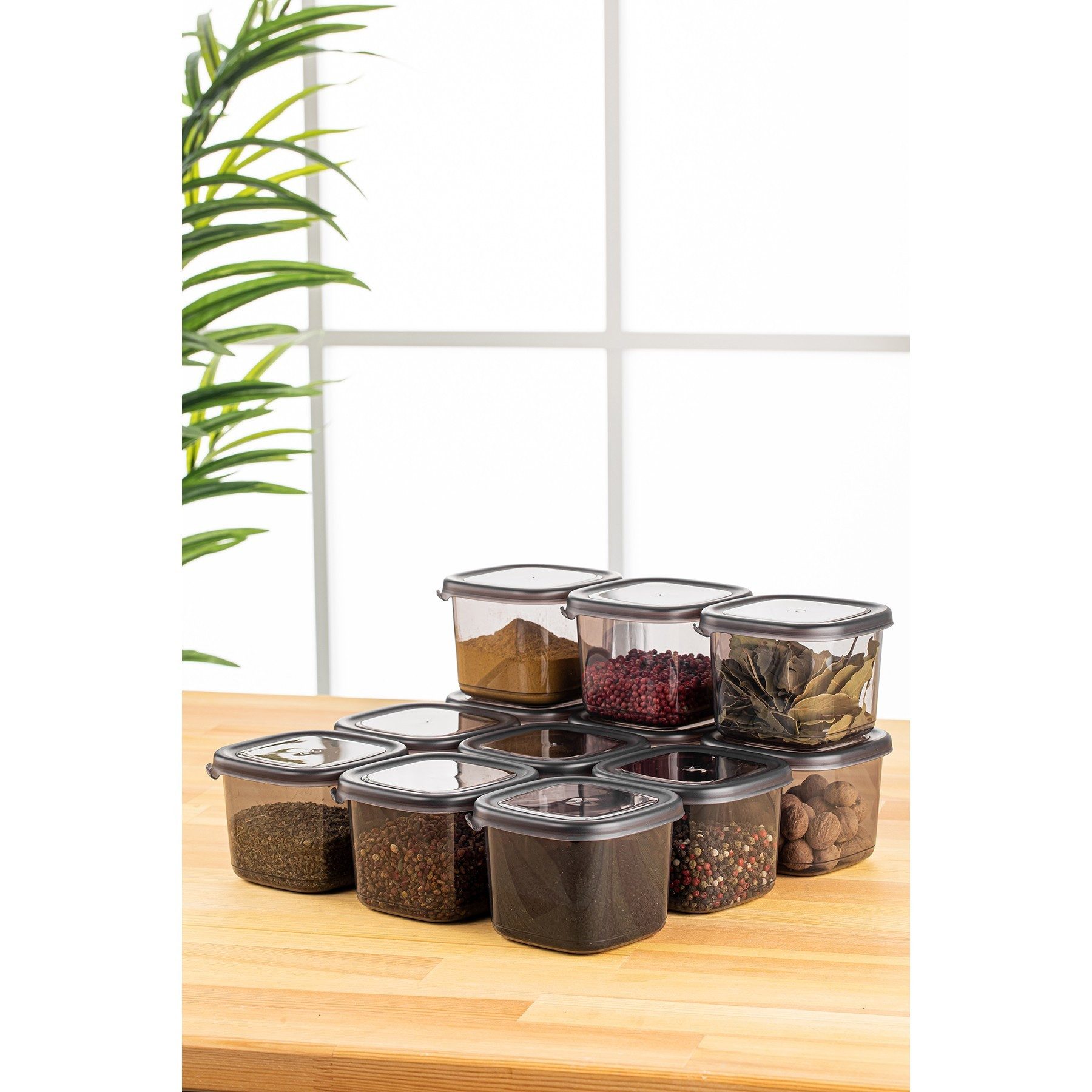 Vorratsdose 100% PLASTIC, 10 x 10 x 9,5 cm / 550 ml (12 Pieces) M5352