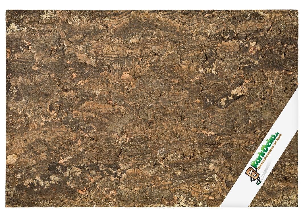 Kork-Deko.de Террариумыrückwand Террариумыrückwand Rückwand für Terrarium & Auqarium, aus Kork im Stil "Forest"