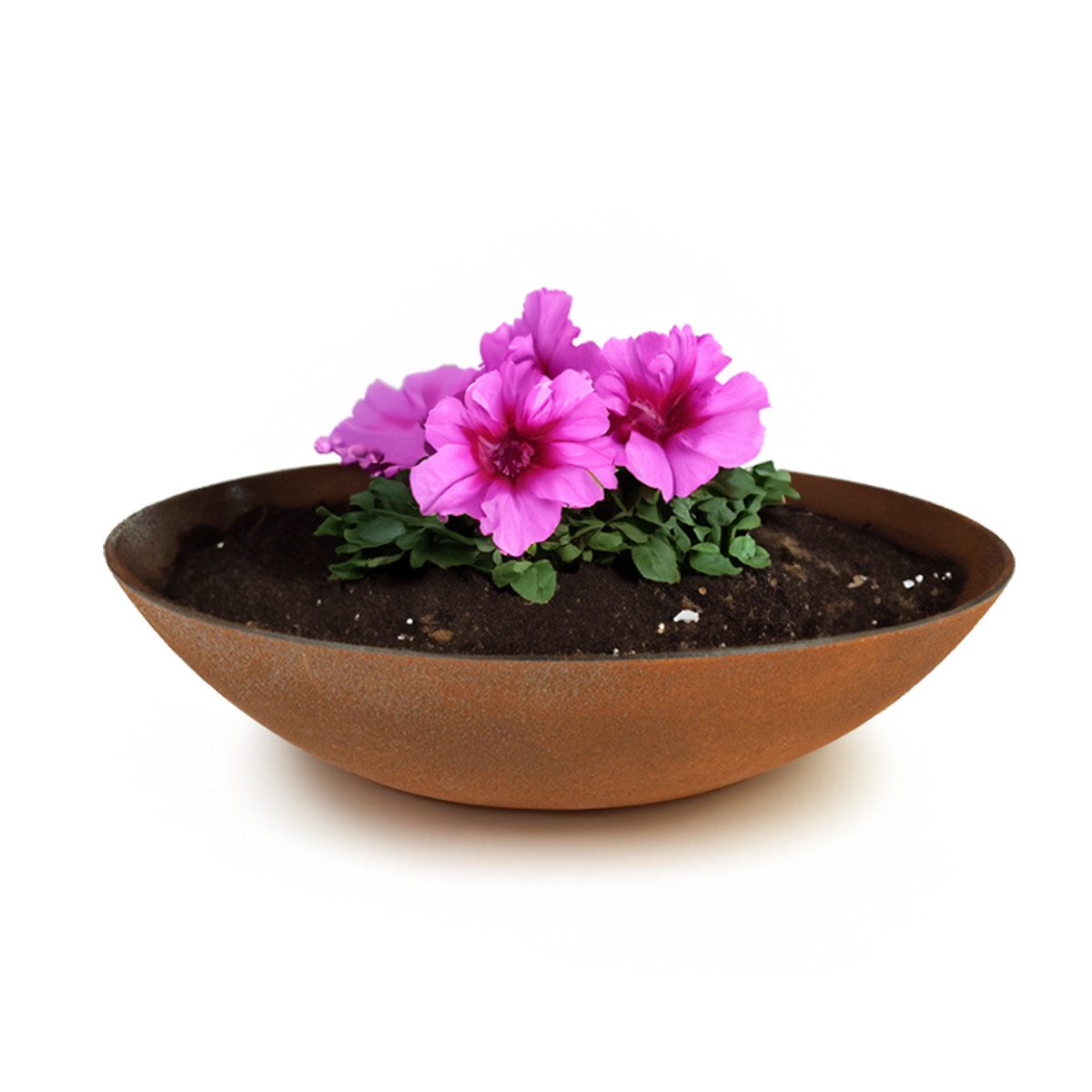 matches21 HOME & HOBBY Blumentopf Pflanzschale für draussen Dekoschale rund günstig online kaufen