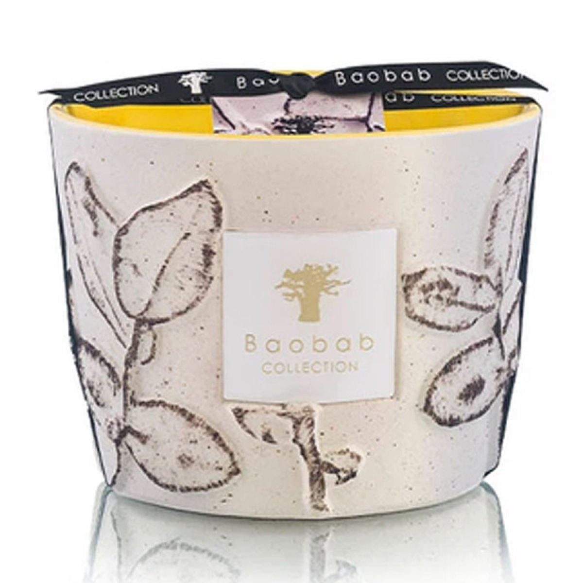 Baobab Duftkerze Collection Duftkerze Folia Calanque Max10 (500g)