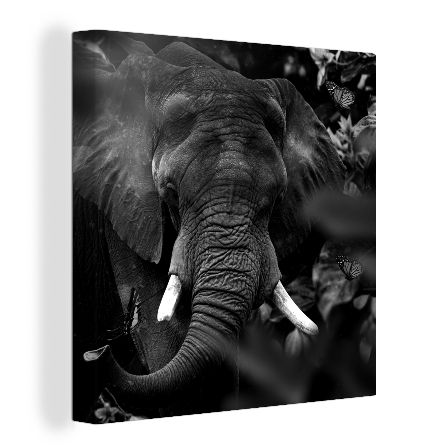 - Leinwandbild - (1 Elefant OneMillionCanvasses® Schwarz St), Bilder Schlafzimmer Tiere Wohnzimmer für - Leinwand Weiß, Schmetterlinge -