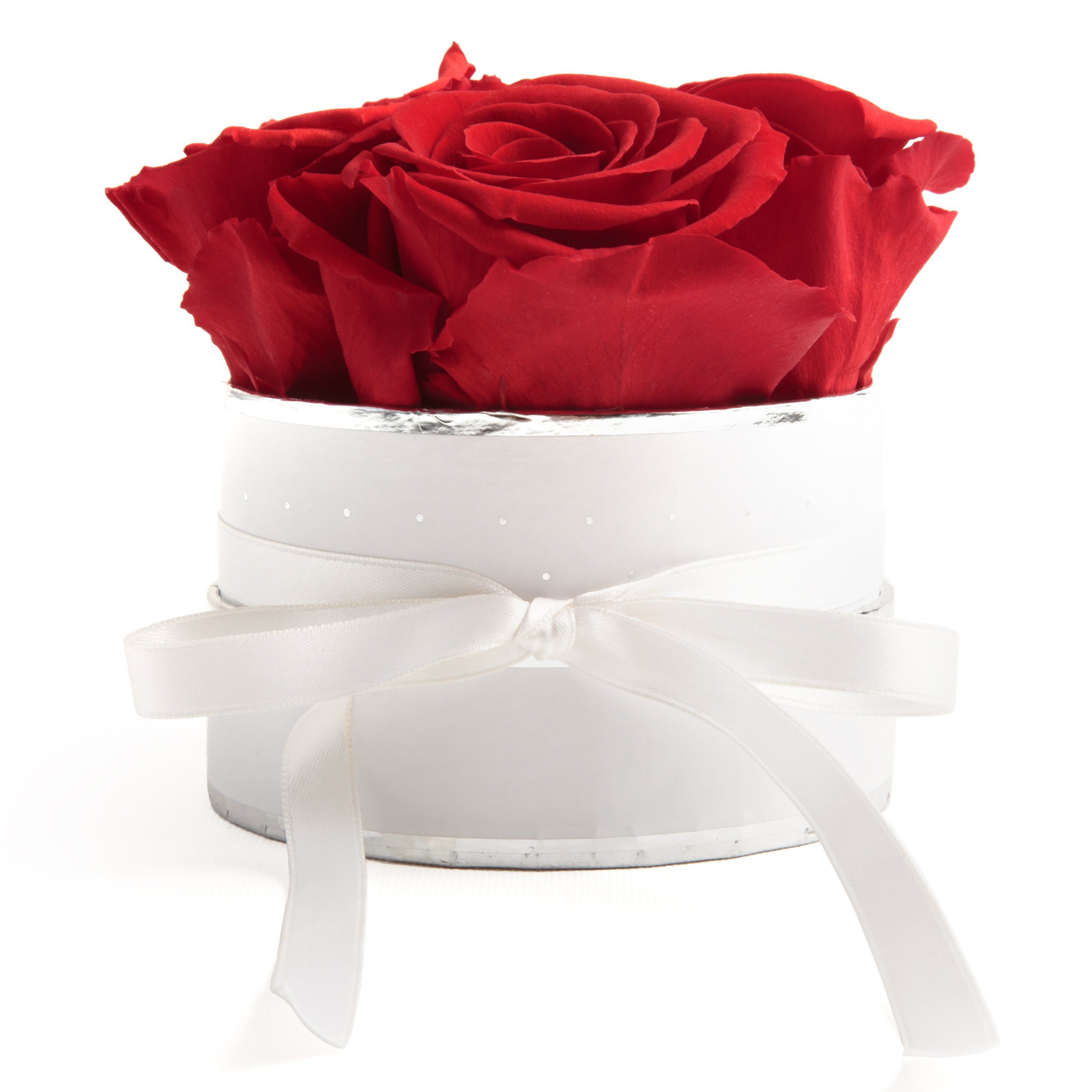 Kunstblume Infinity Rosenbox weiß rund 4 konservierte Rosen inklusiv Geschenkbox Rose, ROSEMARIE SCHULZ Heidelberg, Höhe 10 cm, echte Rosen haltbar 3 Jahre Rot