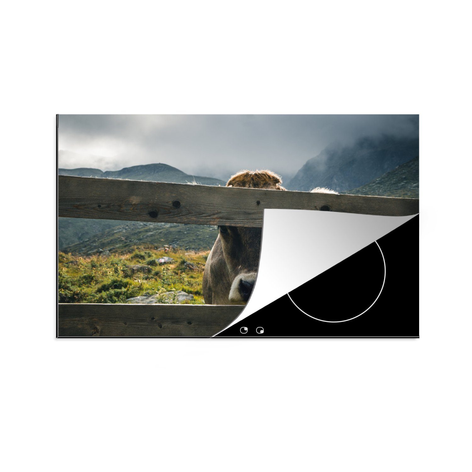 MuchoWow Herdblende-/Abdeckplatte Kuh - Nebel - Zaun, Vinyl, (1 tlg), 81x52 cm, Induktionskochfeld Schutz für die küche, Ceranfeldabdeckung