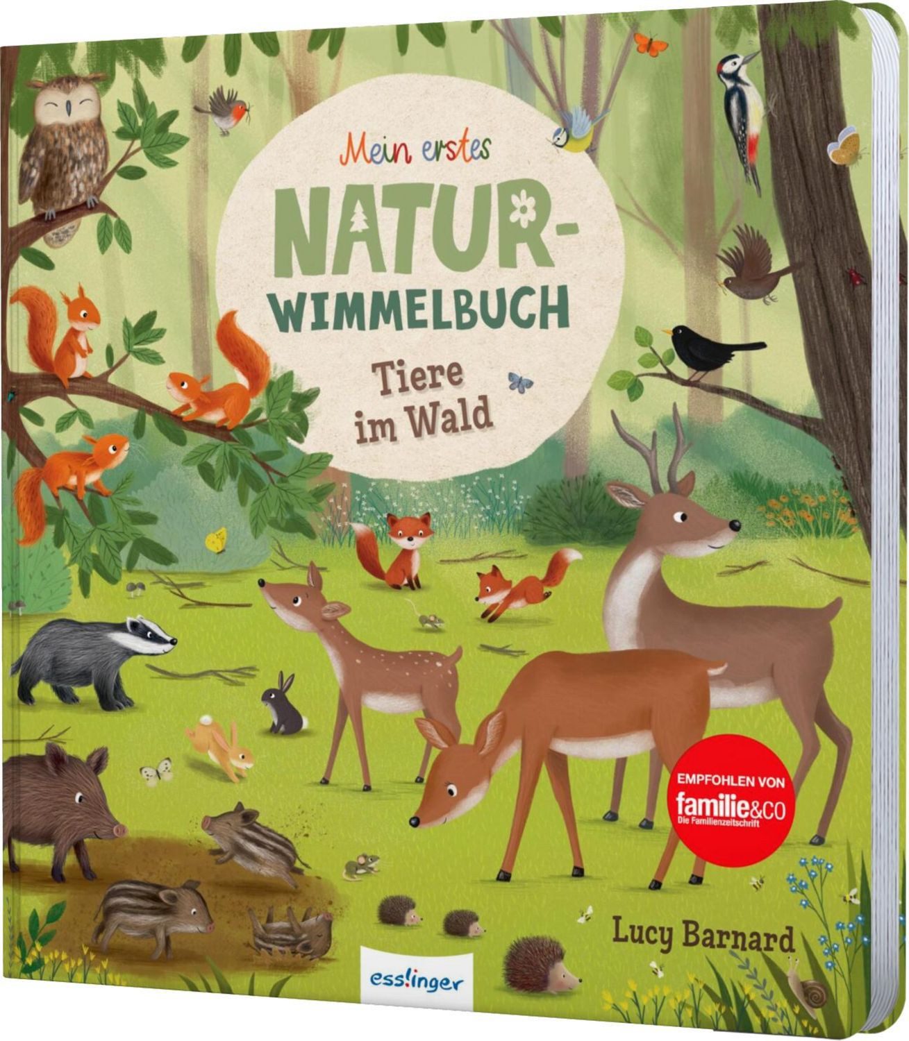Mein erstes Natur-Wimmelbuch: Tiere im Wald / Sibylle Schumann