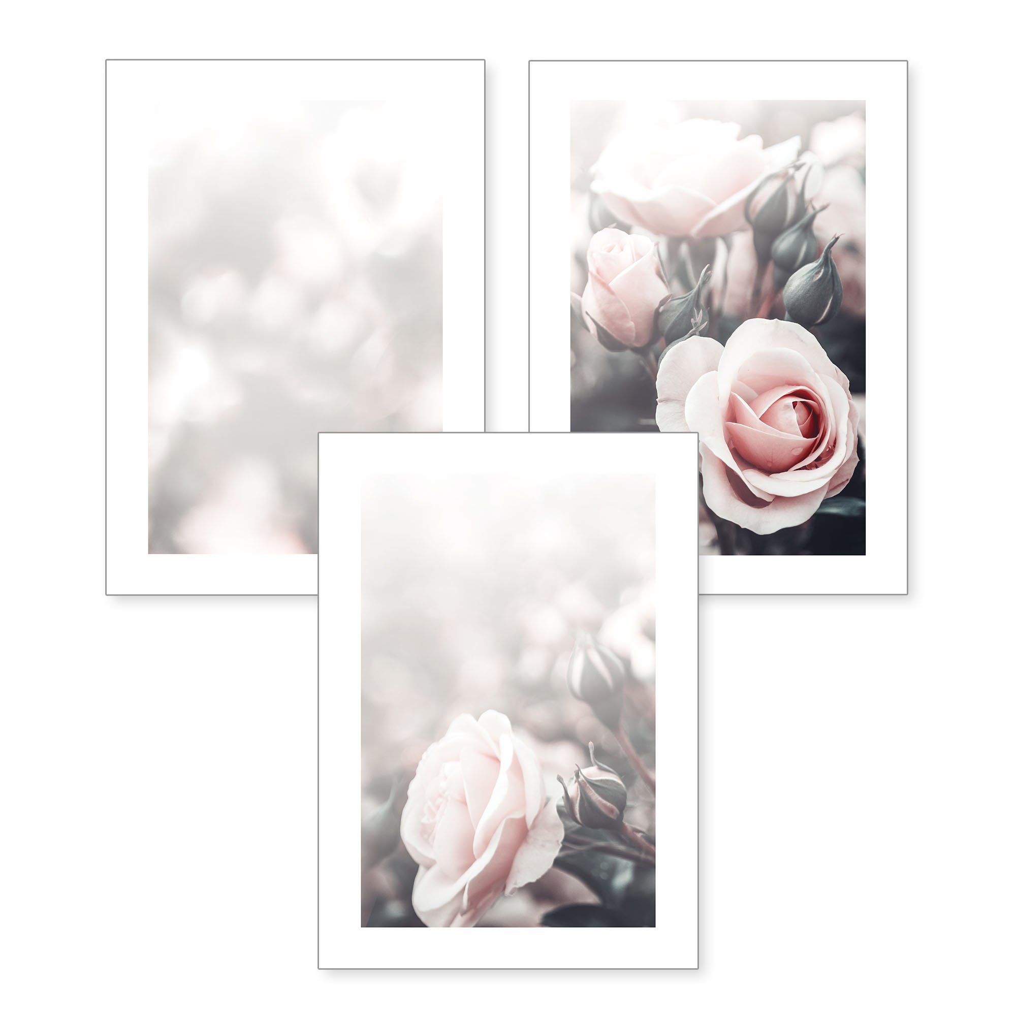 Weiße Blume Bild Bilder Wandbild Kunstdruck 4 Teilig 
