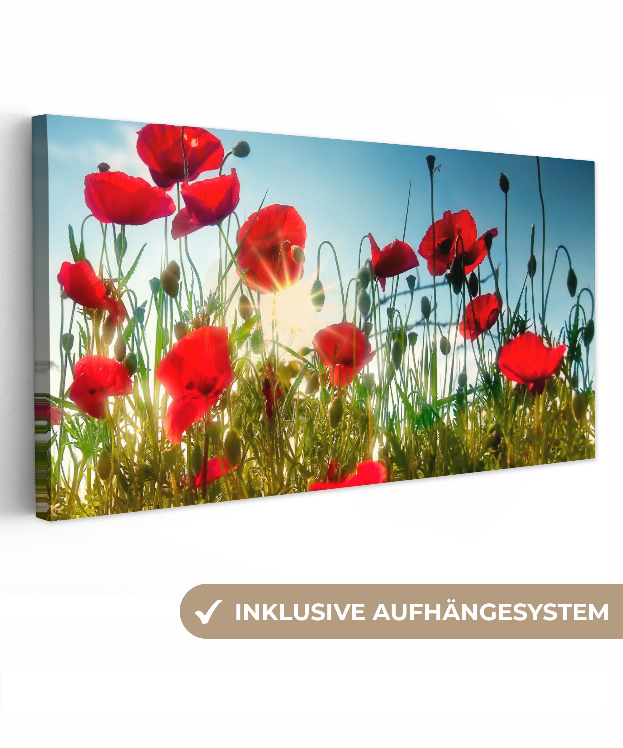 OneMillionCanvasses® Leinwandbild Panorama Mohnblumen - Toskana - Sonne - Rot - Blau, Fotodruck (1 St), Wandbild, Deko Schlafzimmer Wohnzimmer Flur 40x20 cm
