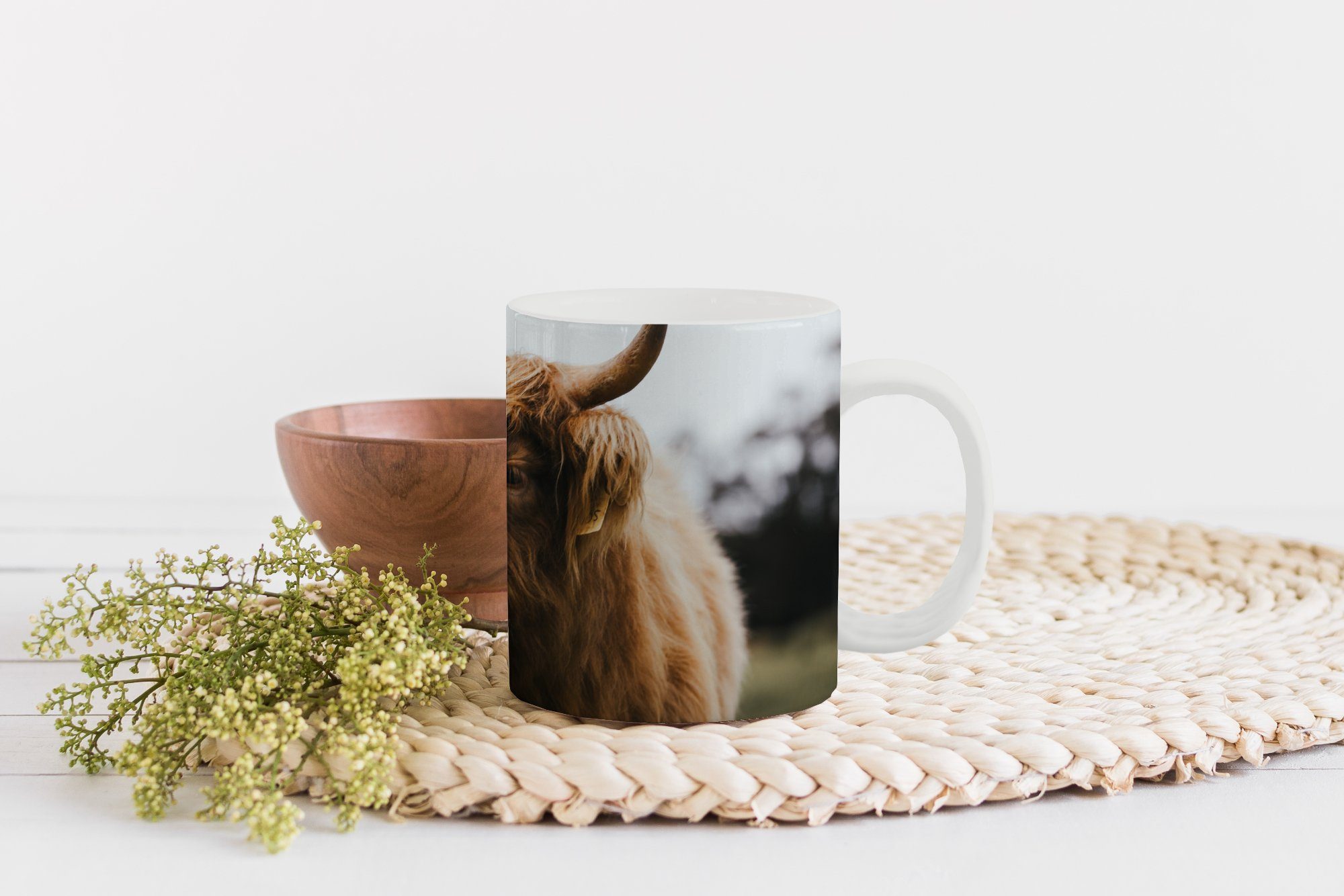 MuchoWow Tasse Schottischer Highlander Tiere Teetasse, Geschenk - Becher, Kaffeetassen, Teetasse, Hörner, - Keramik