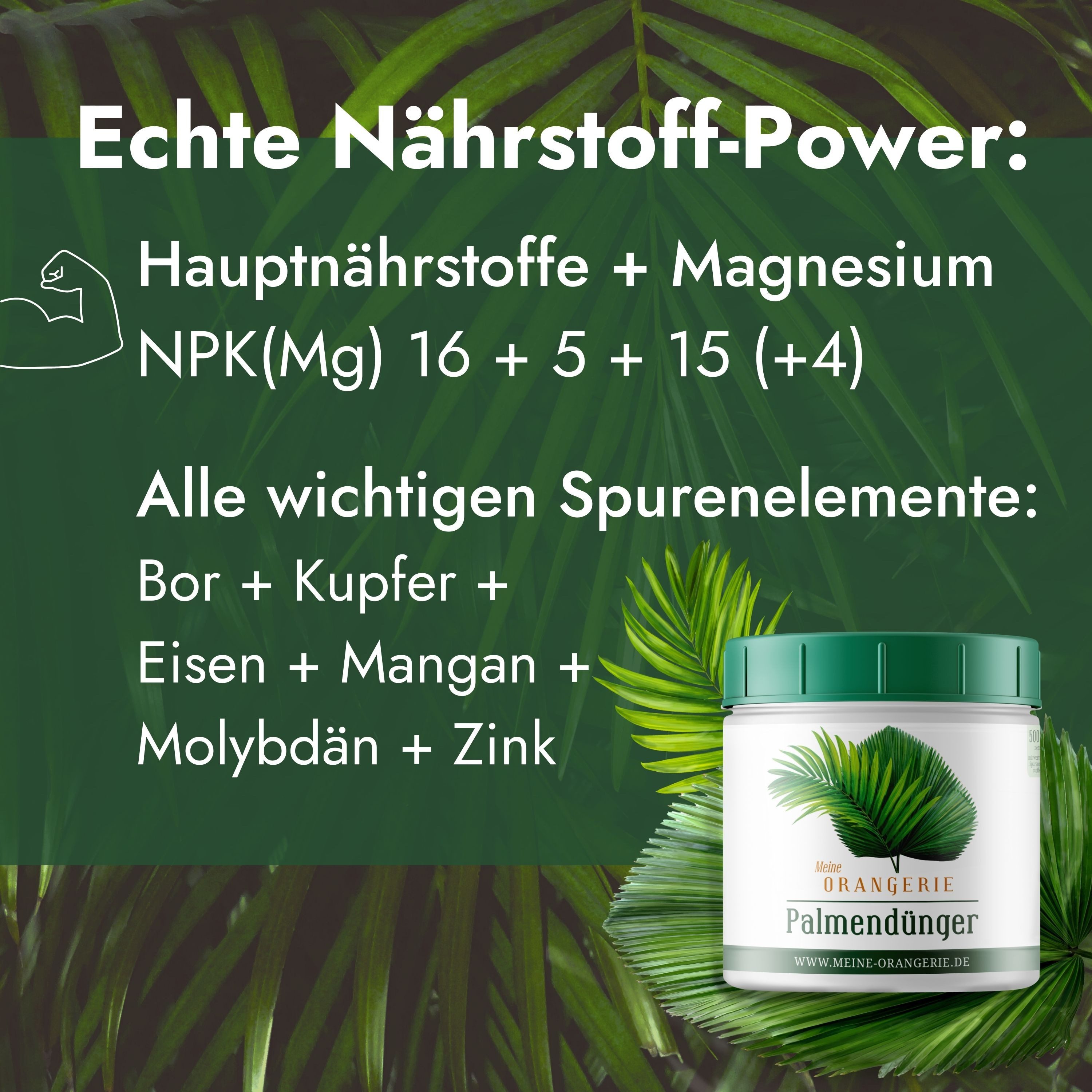 Meine Orangerie Spezialdünger Premium Pflanzendünger für alle Palmen, Dose, 1-St., Profi-Palmendünger mit chelatierten Spurenelementen, optimierte Nährstoffformel für gesunde Wedel & kräftiges Wachstum