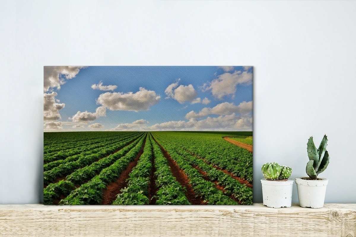 OneMillionCanvasses® Leinwandbild Wandbild Wanddeko, - Kartoffeln, Leinwandbilder, 30x20 - cm (1 Aufhängefertig, Pflanzen Bauernhof St)