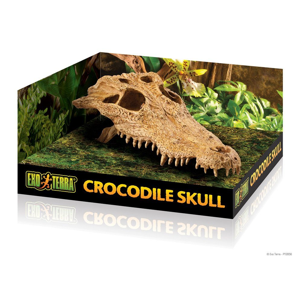 Exo Terra Terrariendeko Versteck Crocodile Skull