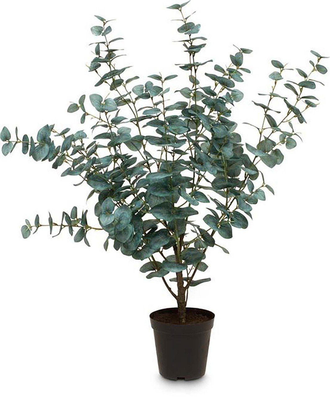 Kunstblume Kunstpflanze Eucalyptus, fleur ami