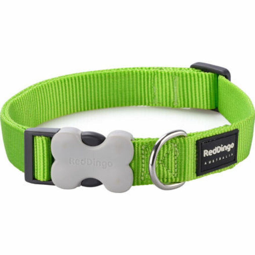 Red Dingo Hunde-Halsband Hundehalsband Neongrün (1,5 x 24-36 cm)